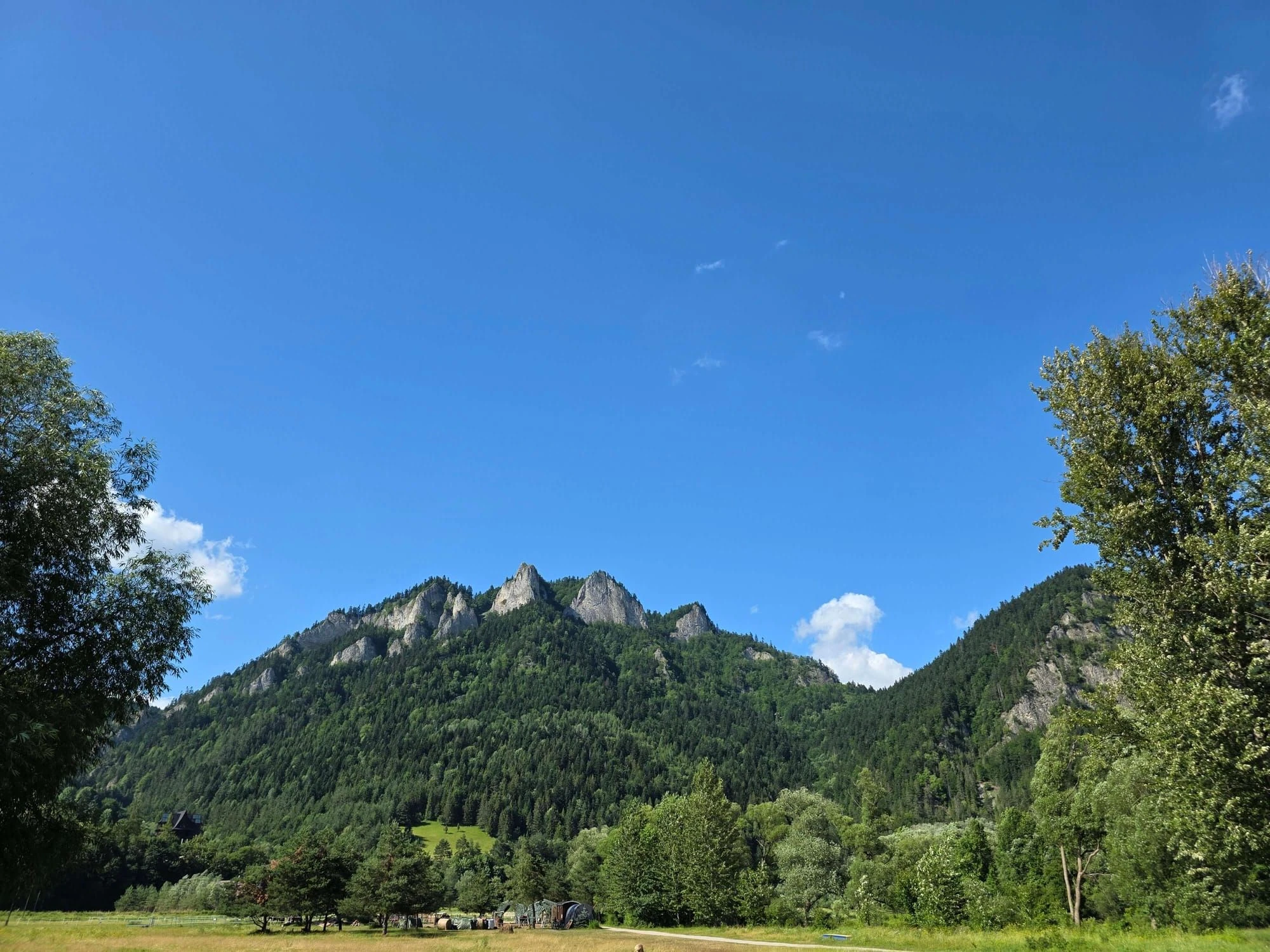 Pieniny lipiec 2026 – Pieniny - Sokolica i Trzy Korony, zdjęcie 64
