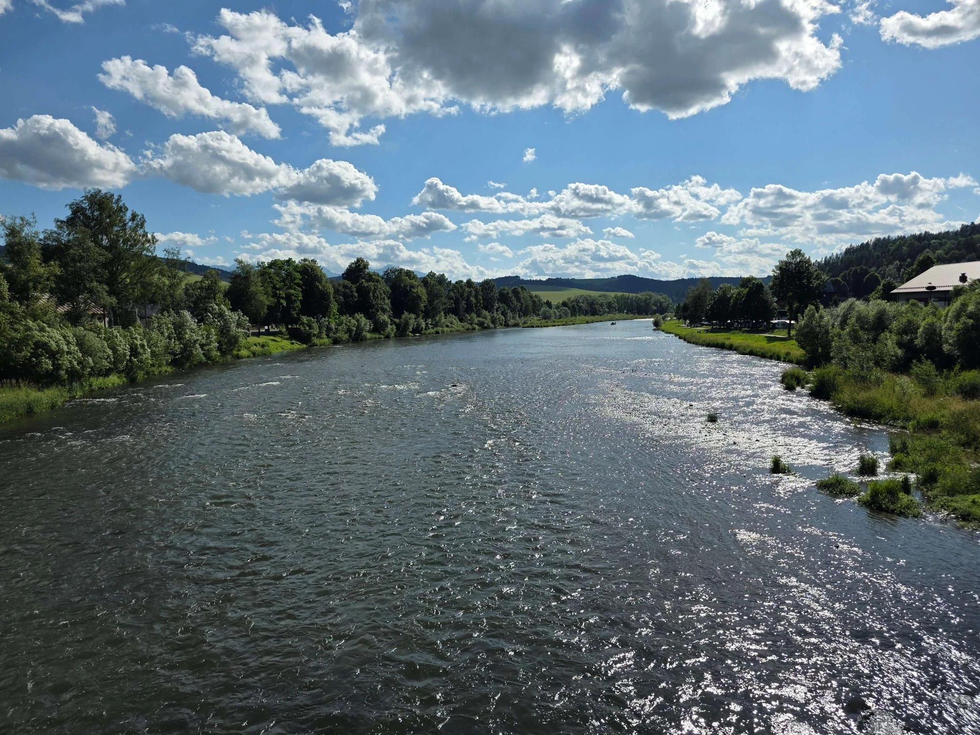 Pieniny lipiec 2026 – Pieniny - Sokolica i Trzy Korony, zdjęcie 83