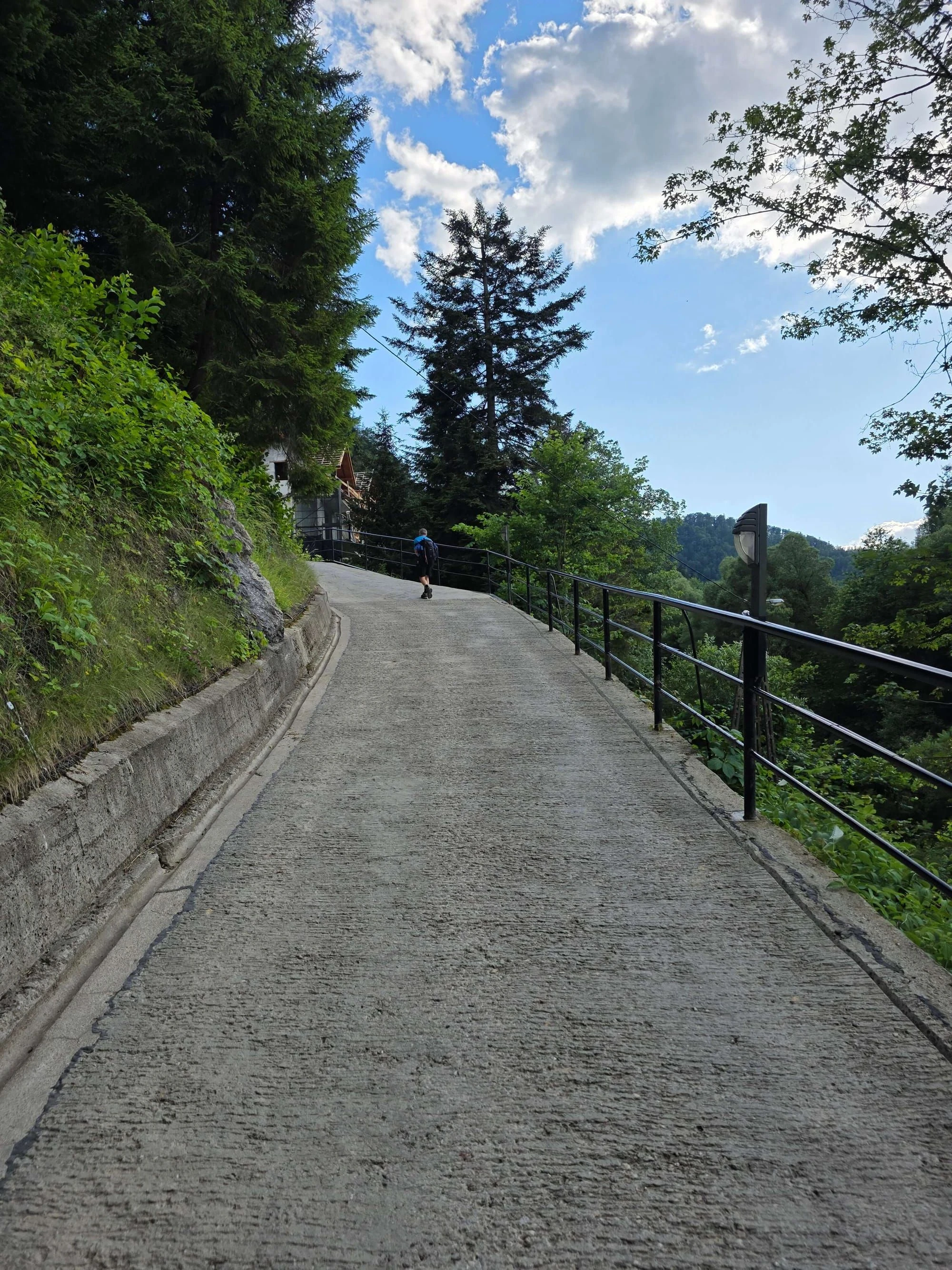 Pieniny lipiec 2026 – Pieniny - Sokolica i Trzy Korony, zdjęcie 80