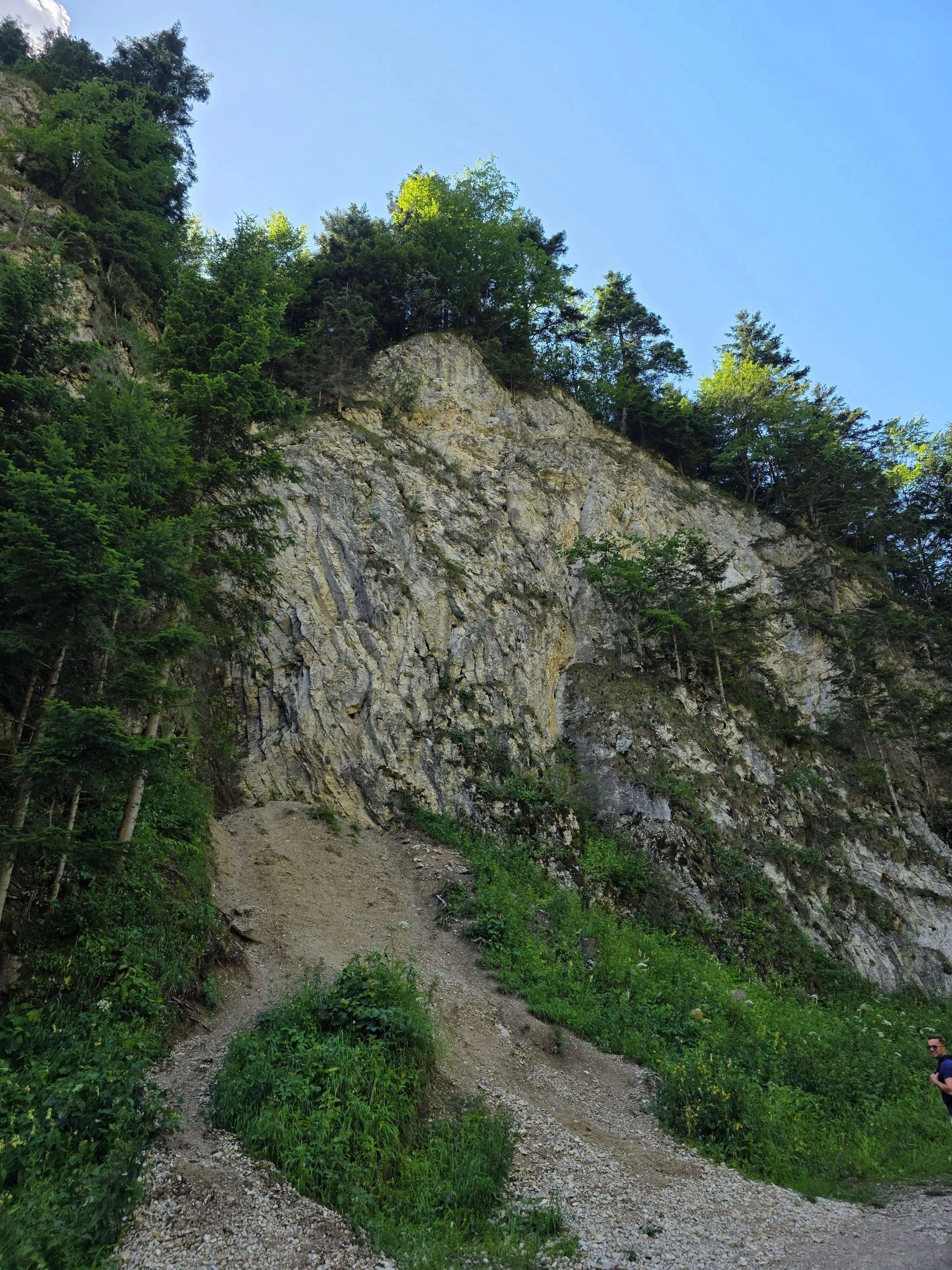 Pieniny lipiec 2026 – Pieniny - Sokolica i Trzy Korony, zdjęcie 76