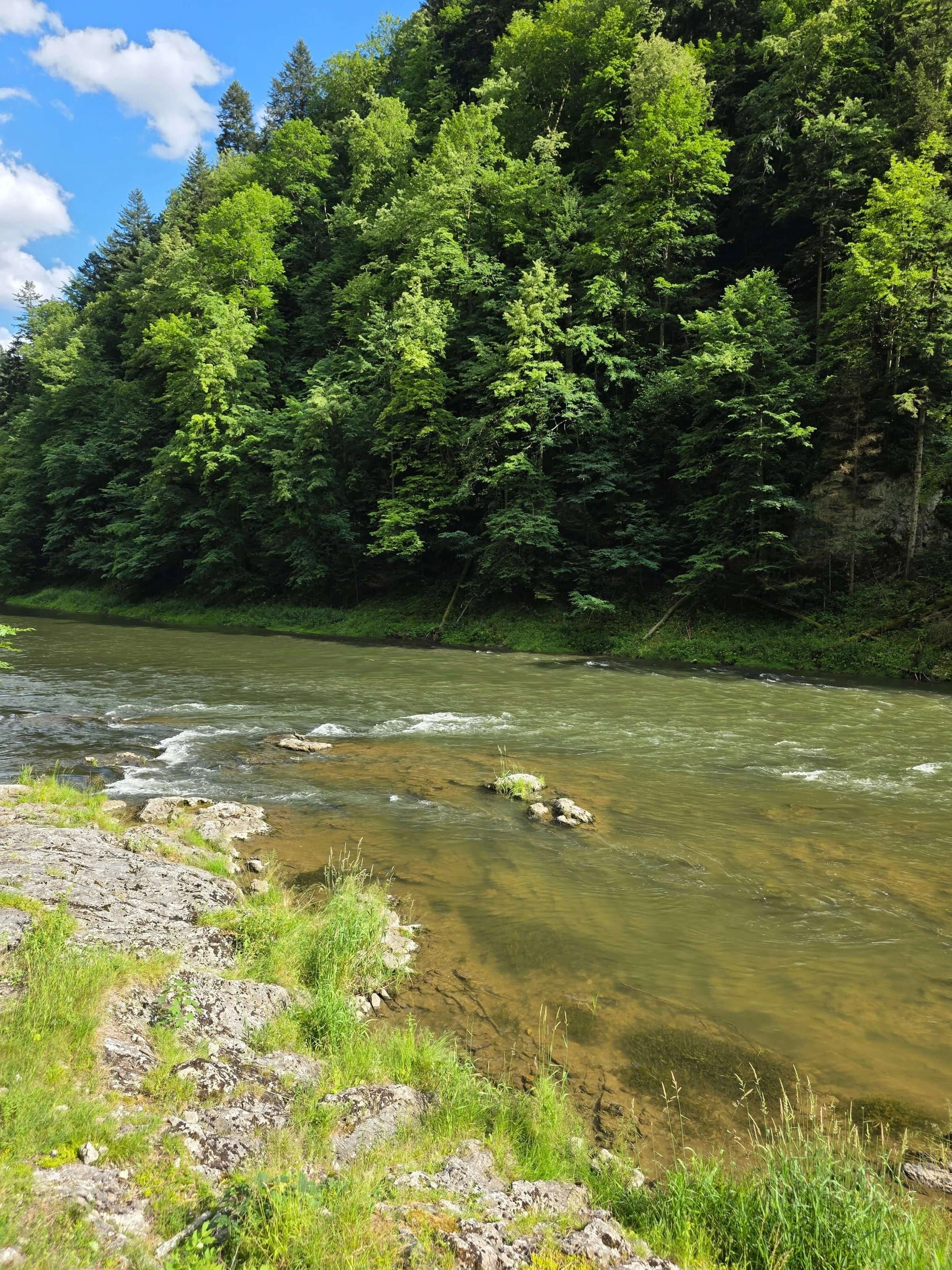 Pieniny lipiec 2026 – Pieniny - Sokolica i Trzy Korony, zdjęcie 62