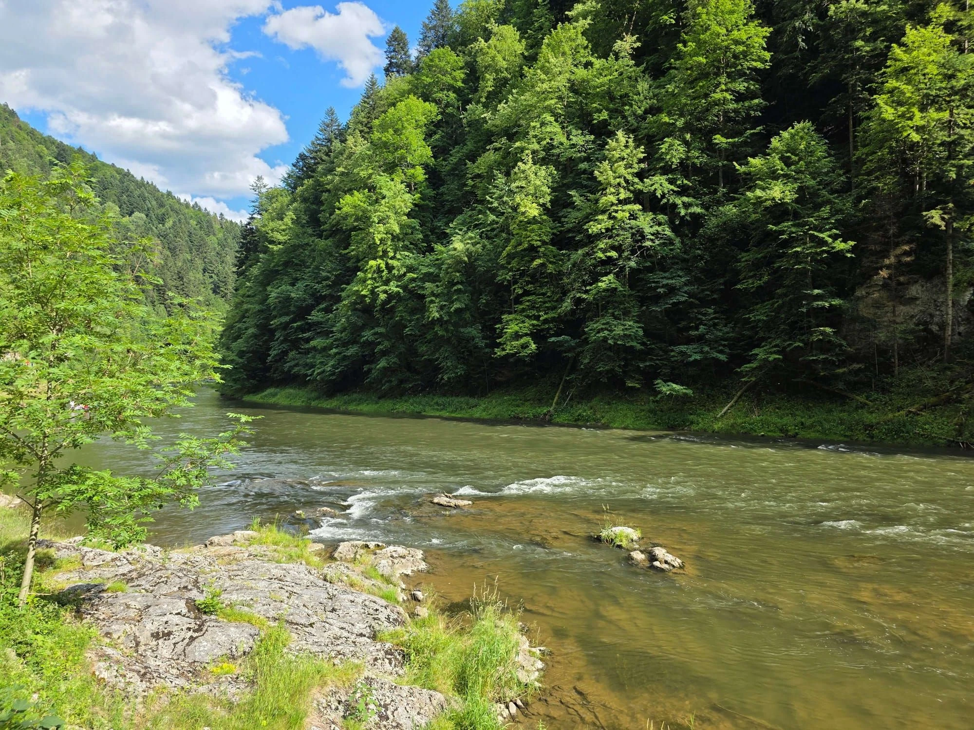 Pieniny lipiec 2026 – Pieniny - Sokolica i Trzy Korony, zdjęcie 77