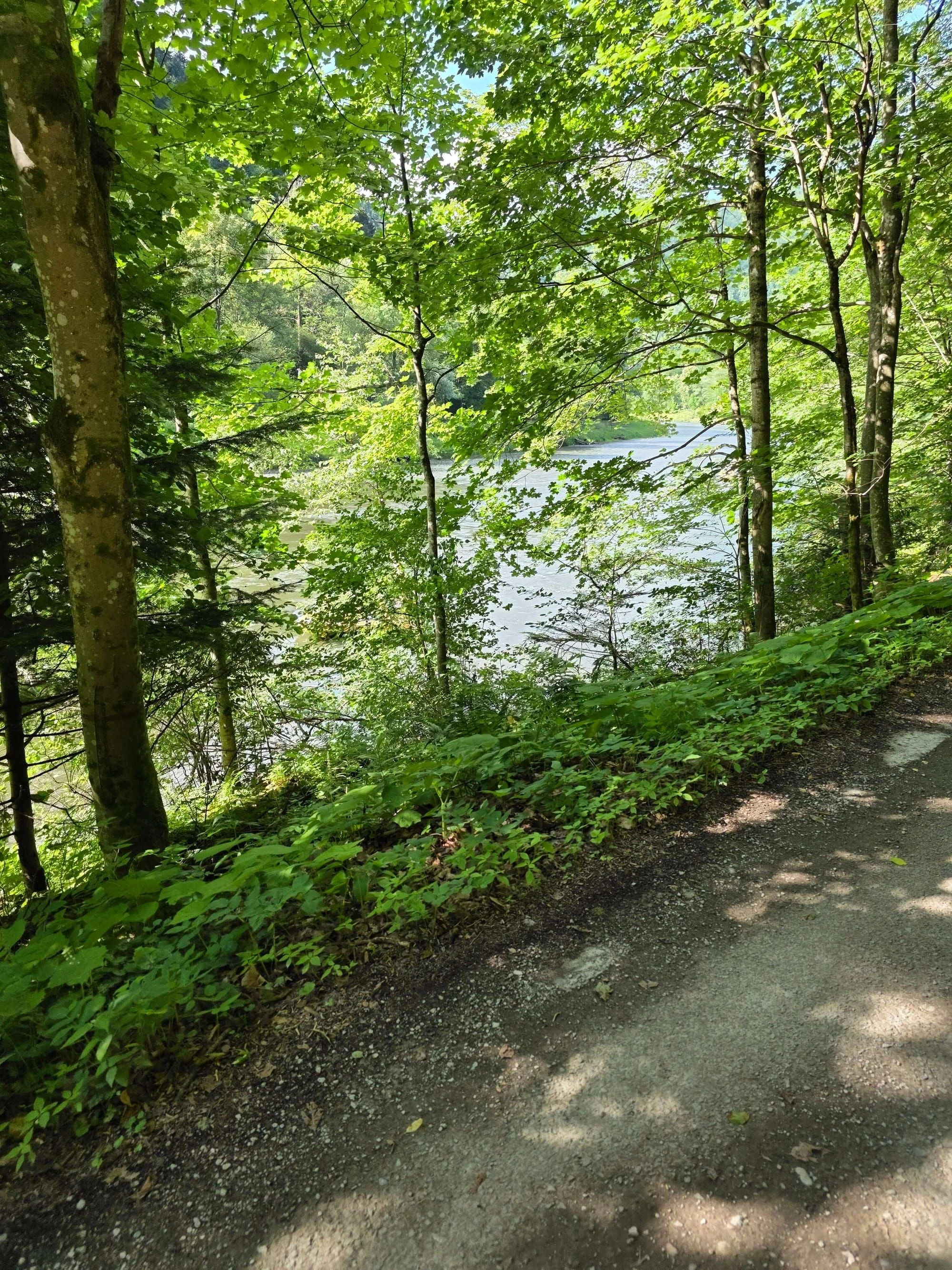 Pieniny lipiec 2026 – Pieniny - Sokolica i Trzy Korony, zdjęcie 85