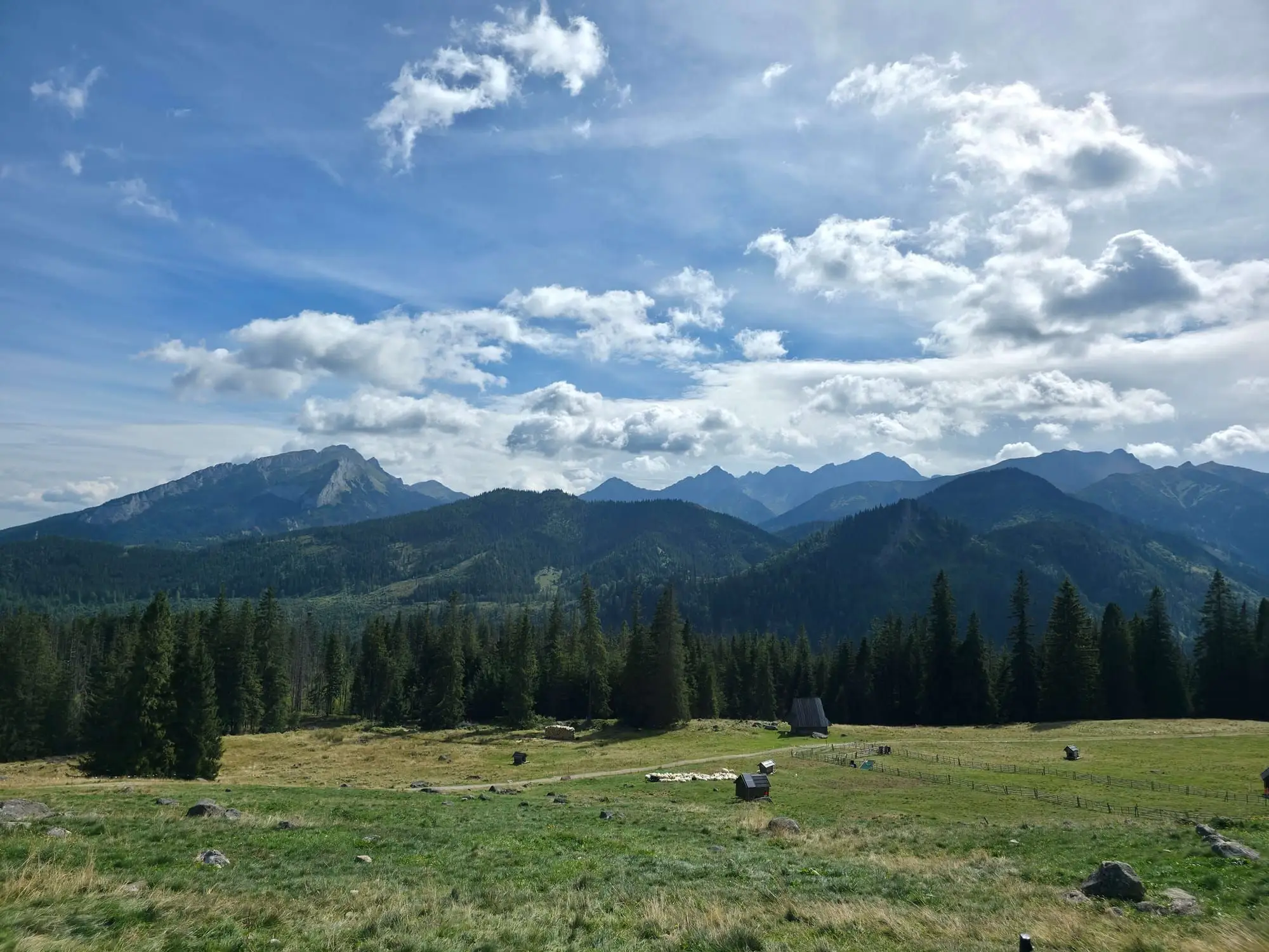 Rusinowa Glade, Gęsia Szyja