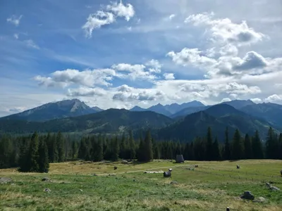 Rusinowa Polana, Gęsia Szyja