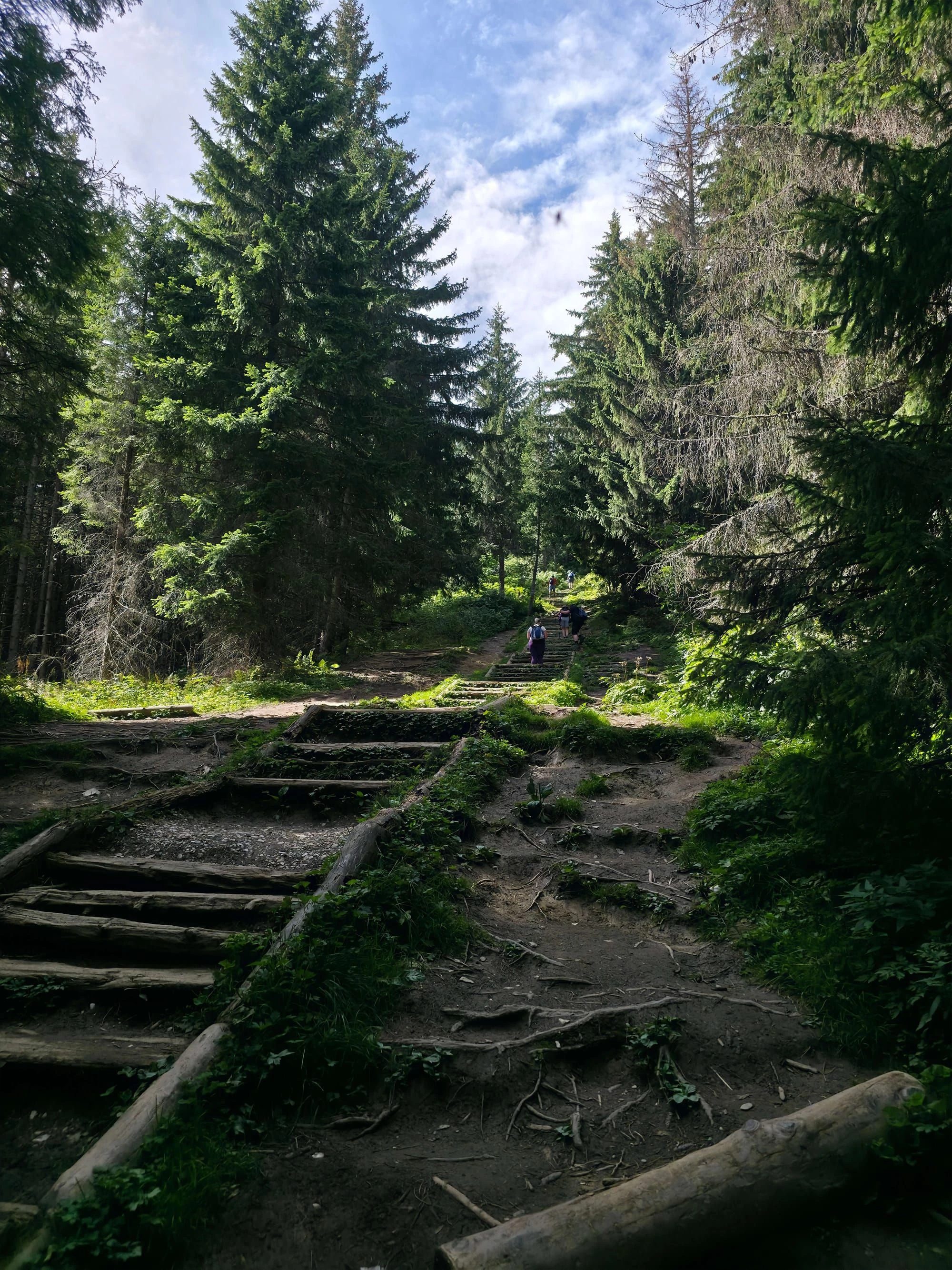 Rusinowa polana gesia szyja wrzesien 2026 – Rusinowa Glade, Gęsia Szyja, photo 9