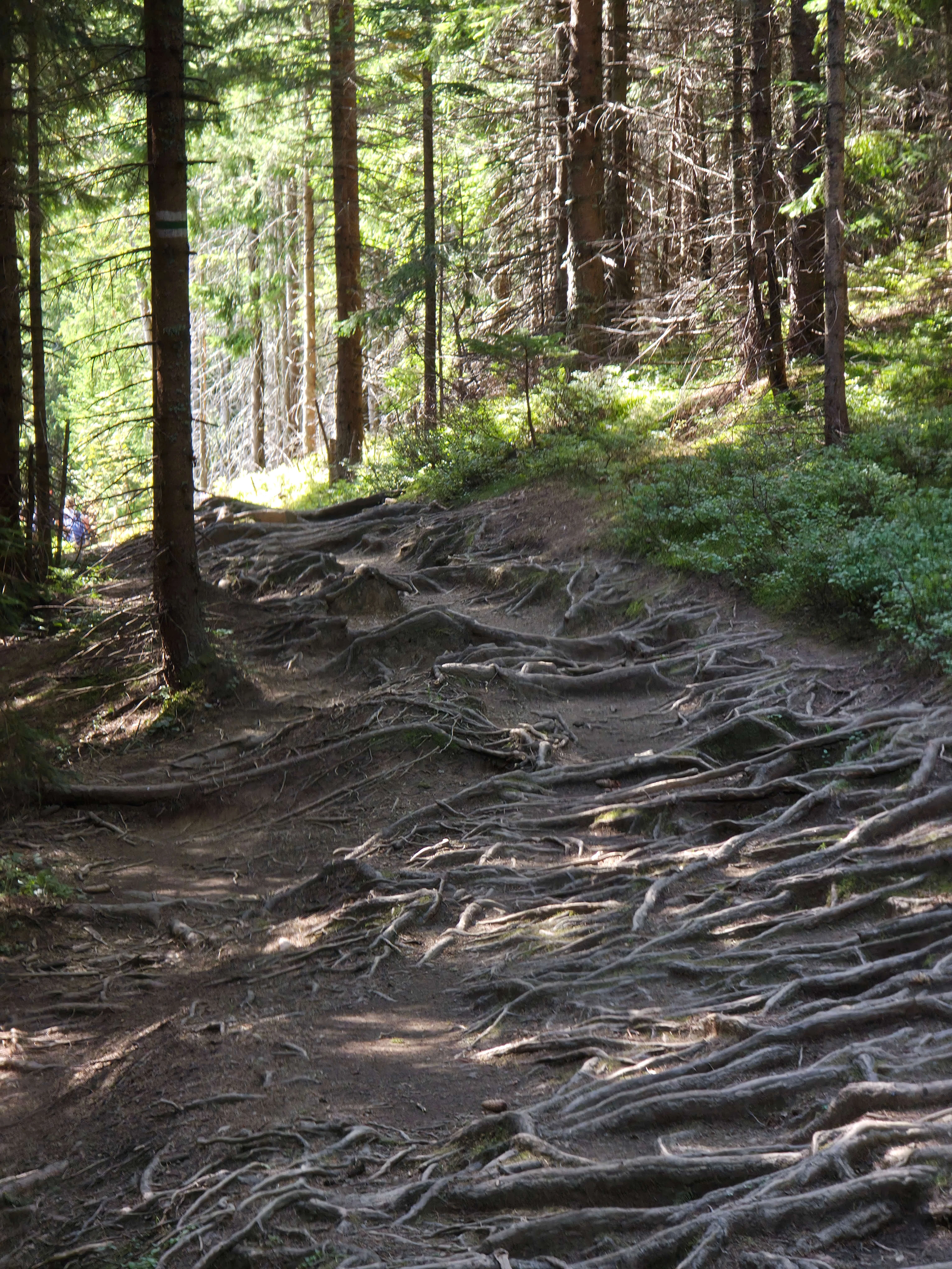 Rusinowa polana gesia szyja wrzesien 2026 – Rusinowa Glade, Gęsia Szyja, photo 37