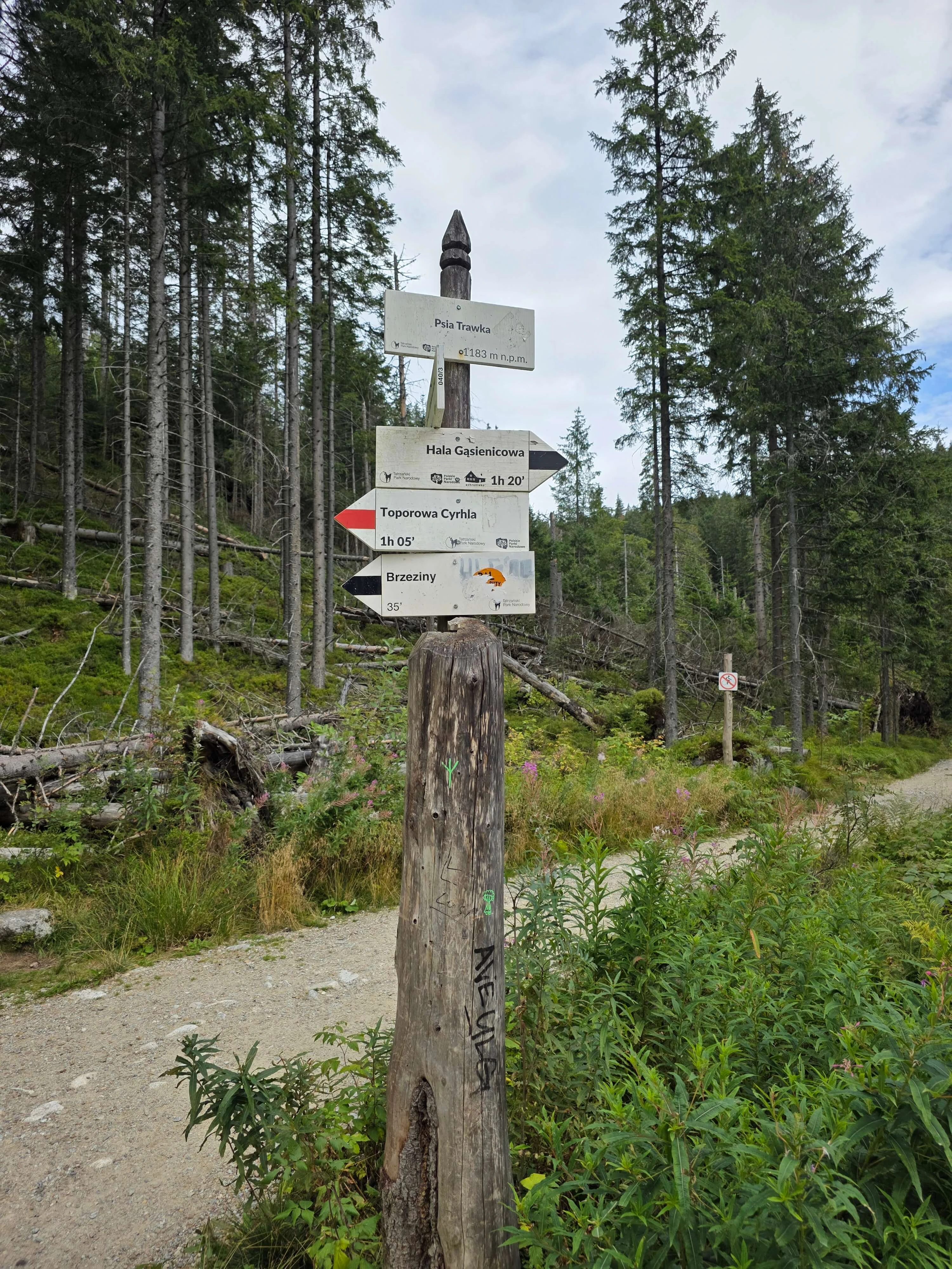 Rusinowa polana gesia szyja wrzesien 2026 – Rusinowa Glade, Gęsia Szyja, photo 49