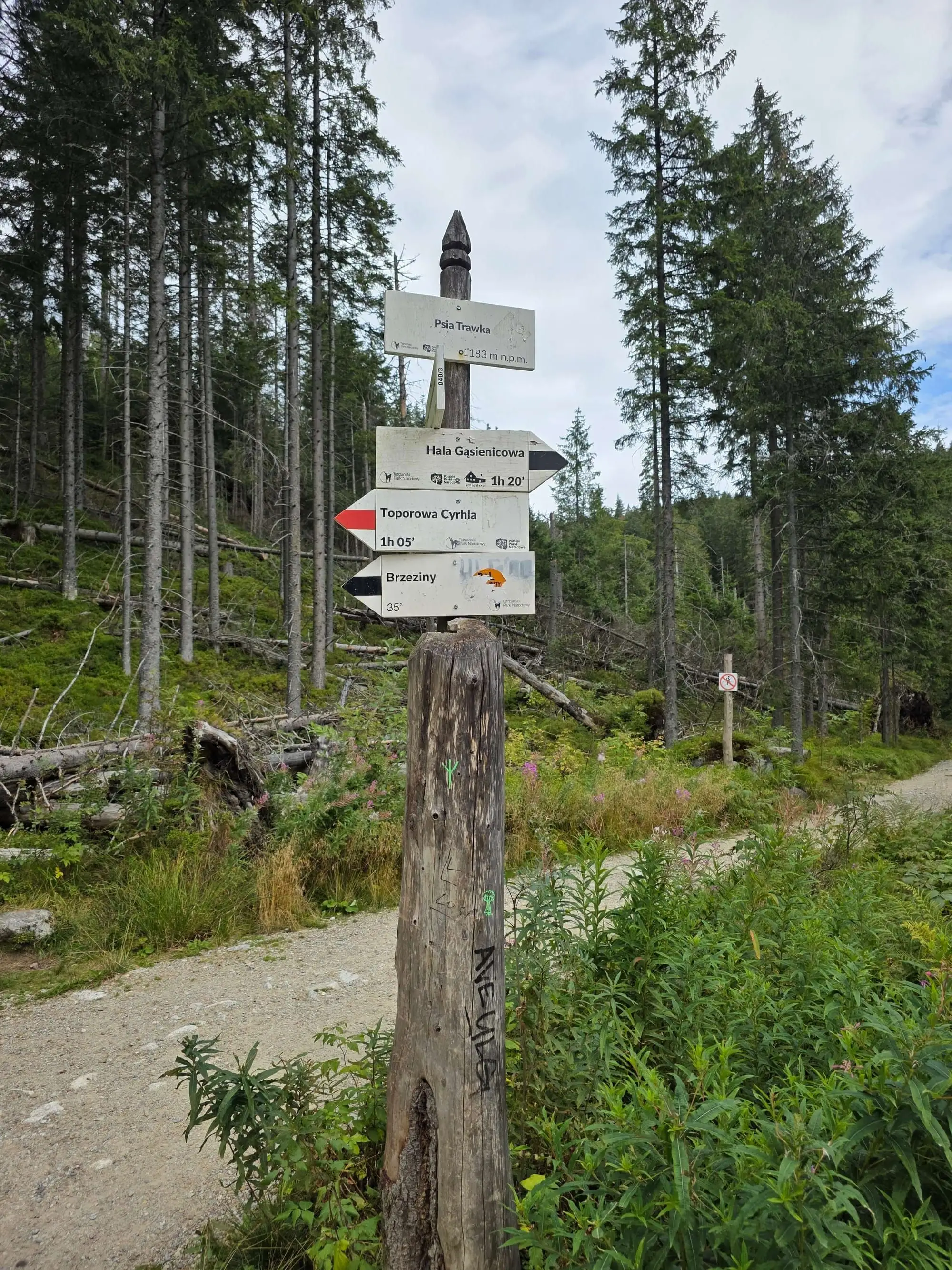 Rusinowa polana gesia szyja wrzesien 2026 – Photo from trail Rusinowa Polana and Wiktorówki, photo 28