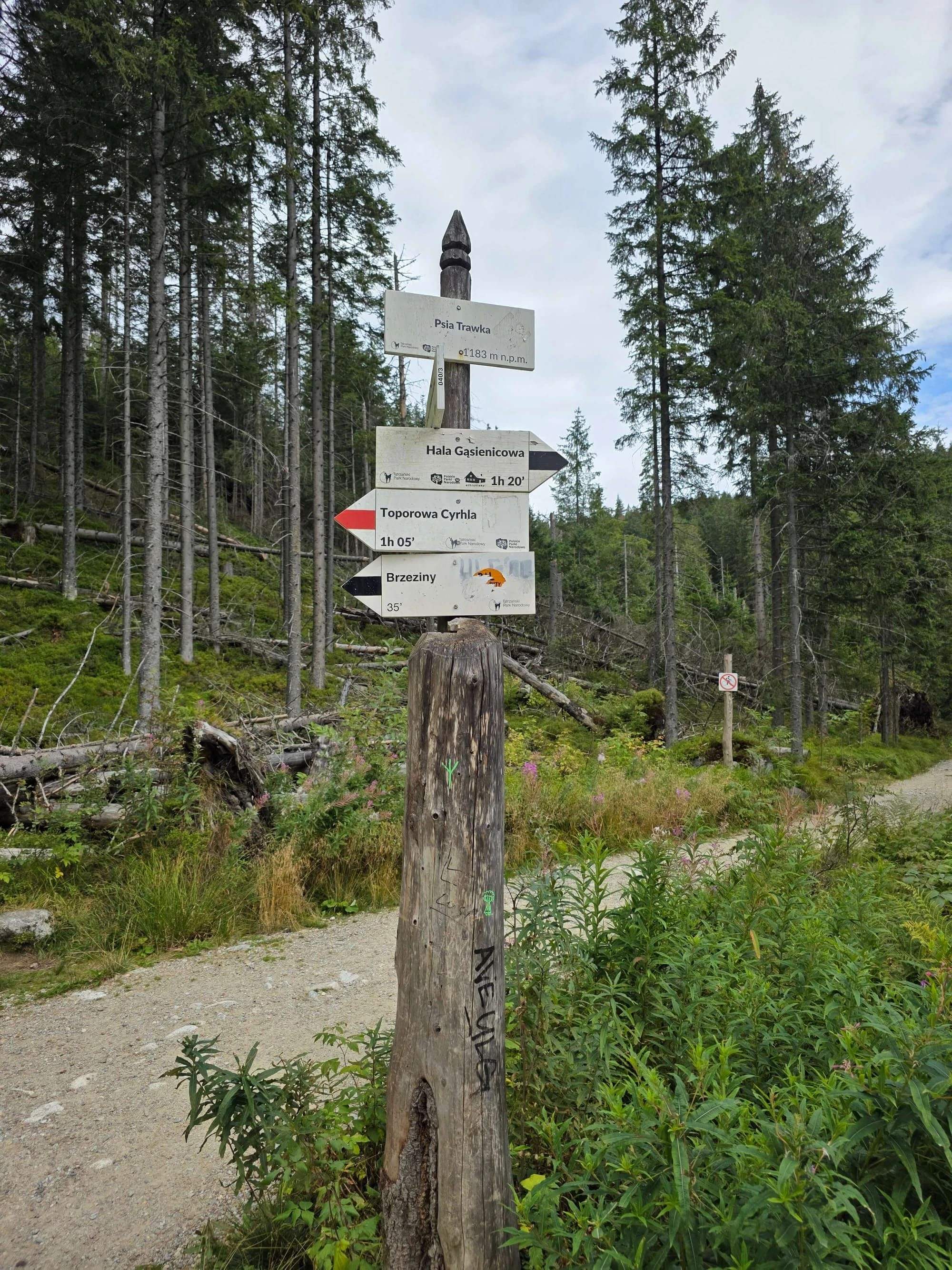 Rusinowa polana gesia szyja wrzesien 2026 – Rusinowa Glade, Gęsia Szyja, photo 39