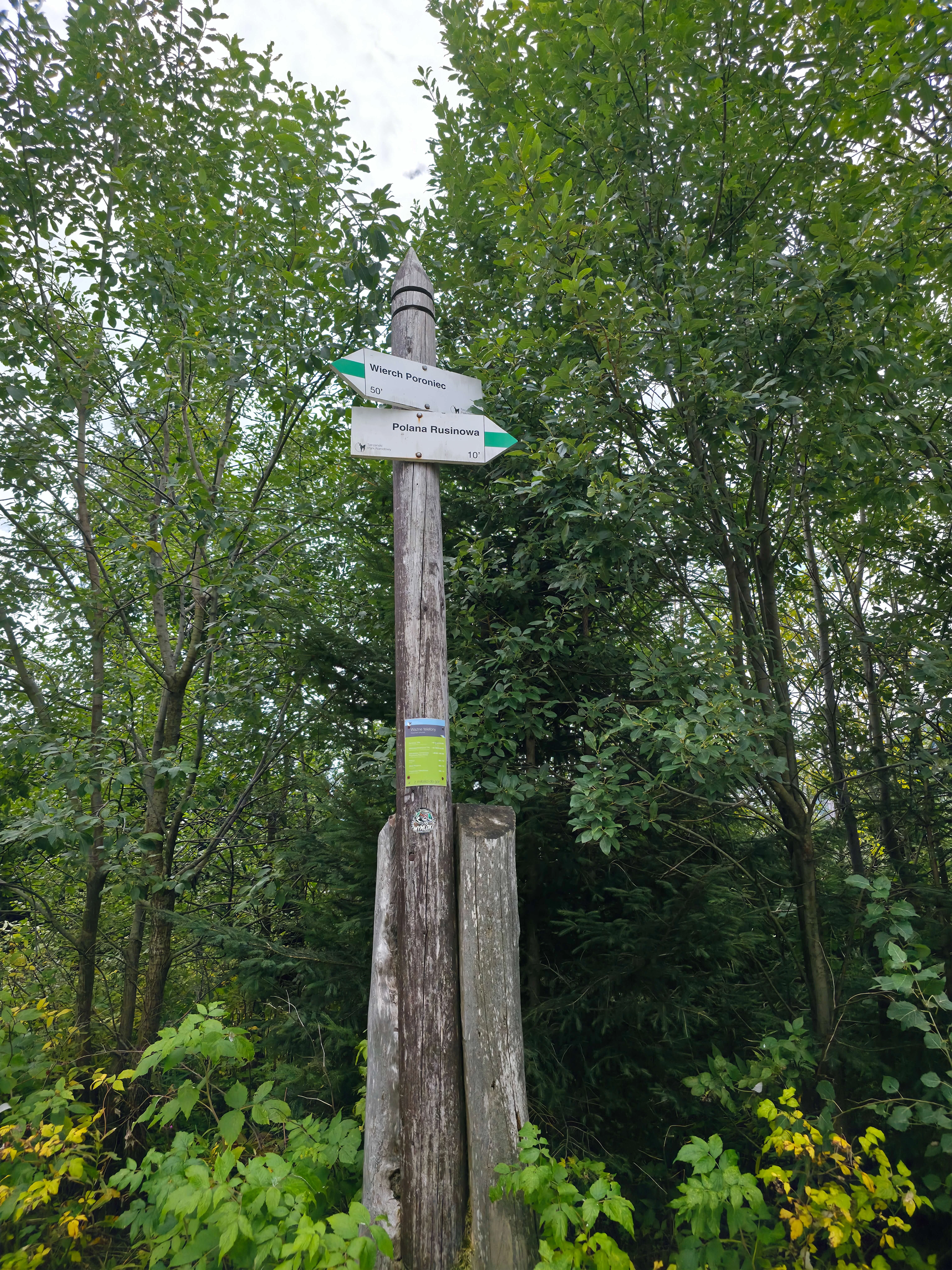 Rusinowa polana gesia szyja wrzesien 2026 – Rusinowa Glade, Gęsia Szyja, photo 36