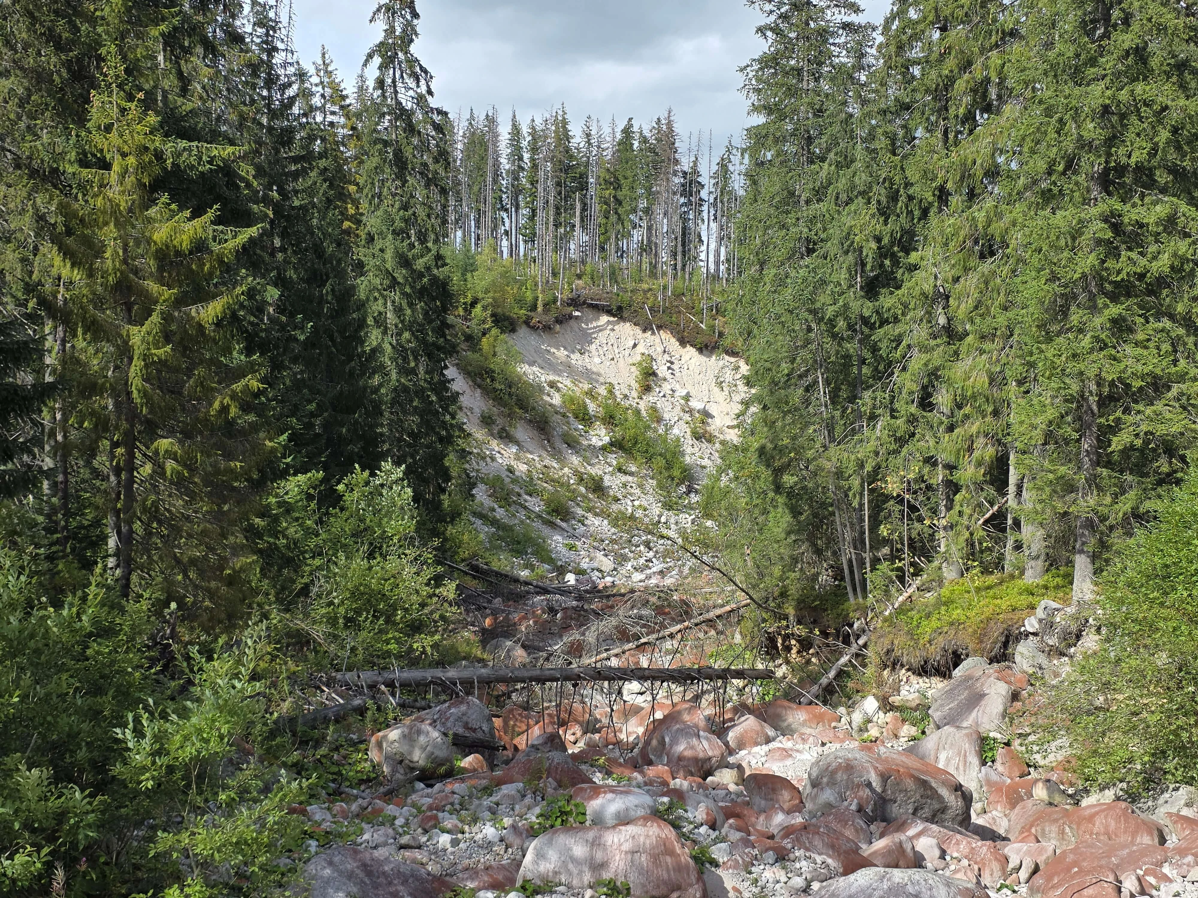 Rusinowa polana gesia szyja wrzesien 2026 – Rusinowa Glade, Gęsia Szyja, photo 22