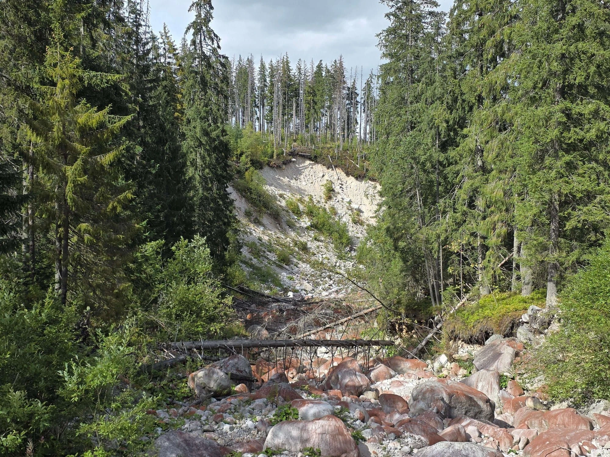 Rusinowa polana gesia szyja wrzesien 2026 – Rusinowa Glade, Gęsia Szyja, photo 36