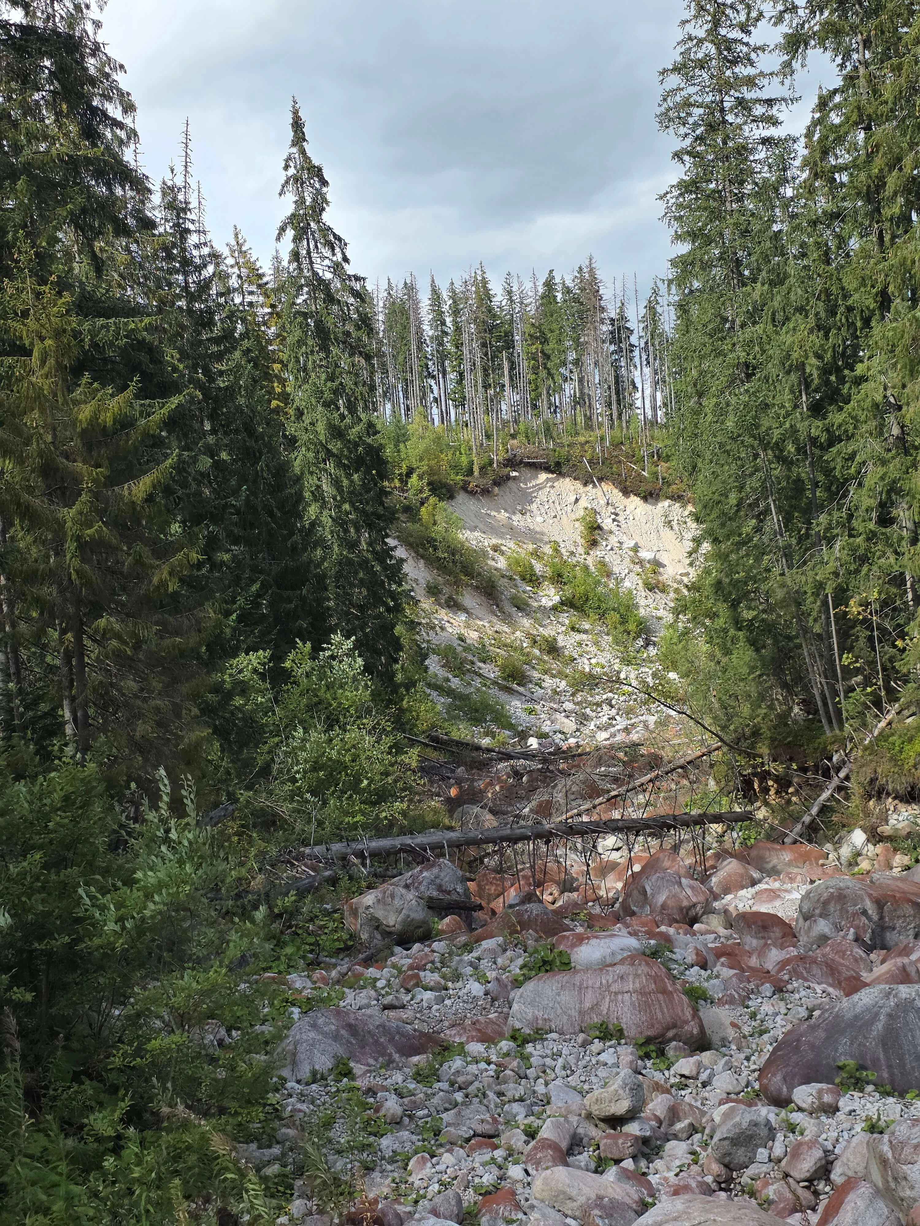 Rusinowa polana gesia szyja wrzesien 2026 – Rusinowa Glade, Gęsia Szyja, photo 44