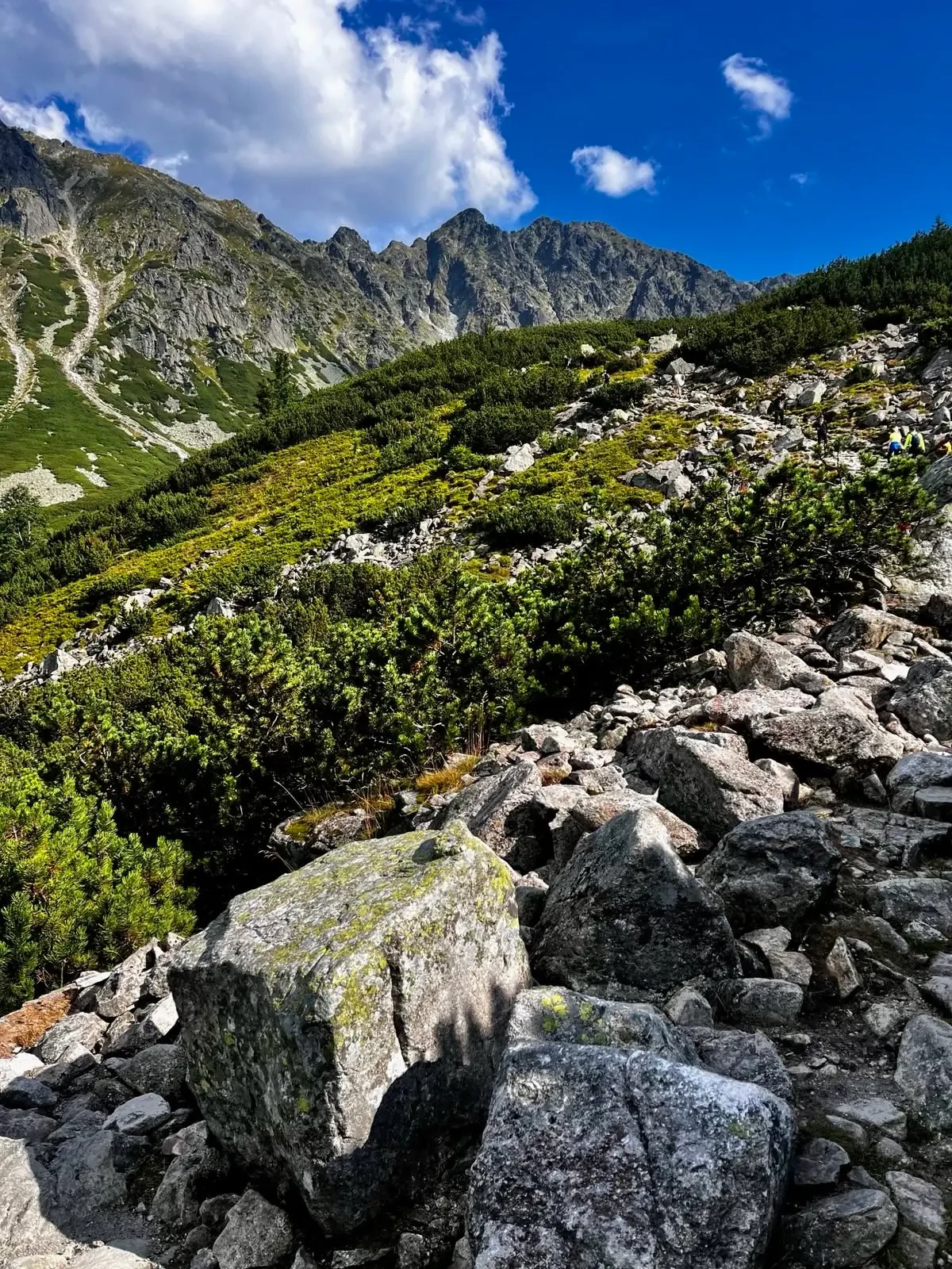 Dolina Pięciu Stawów i MOKO