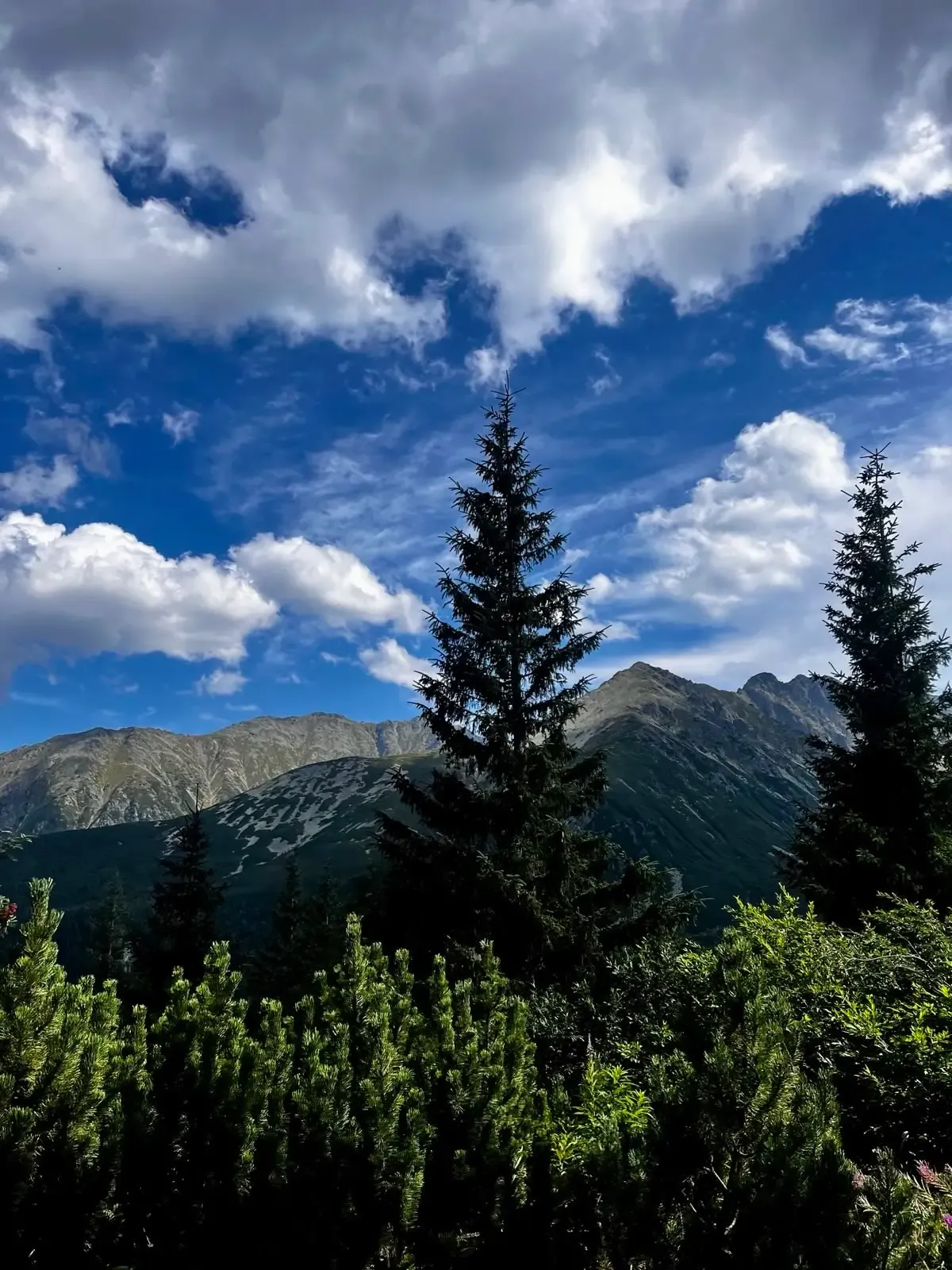 Zdjęcie z trasy Dolina Pięciu Stawów Polskich