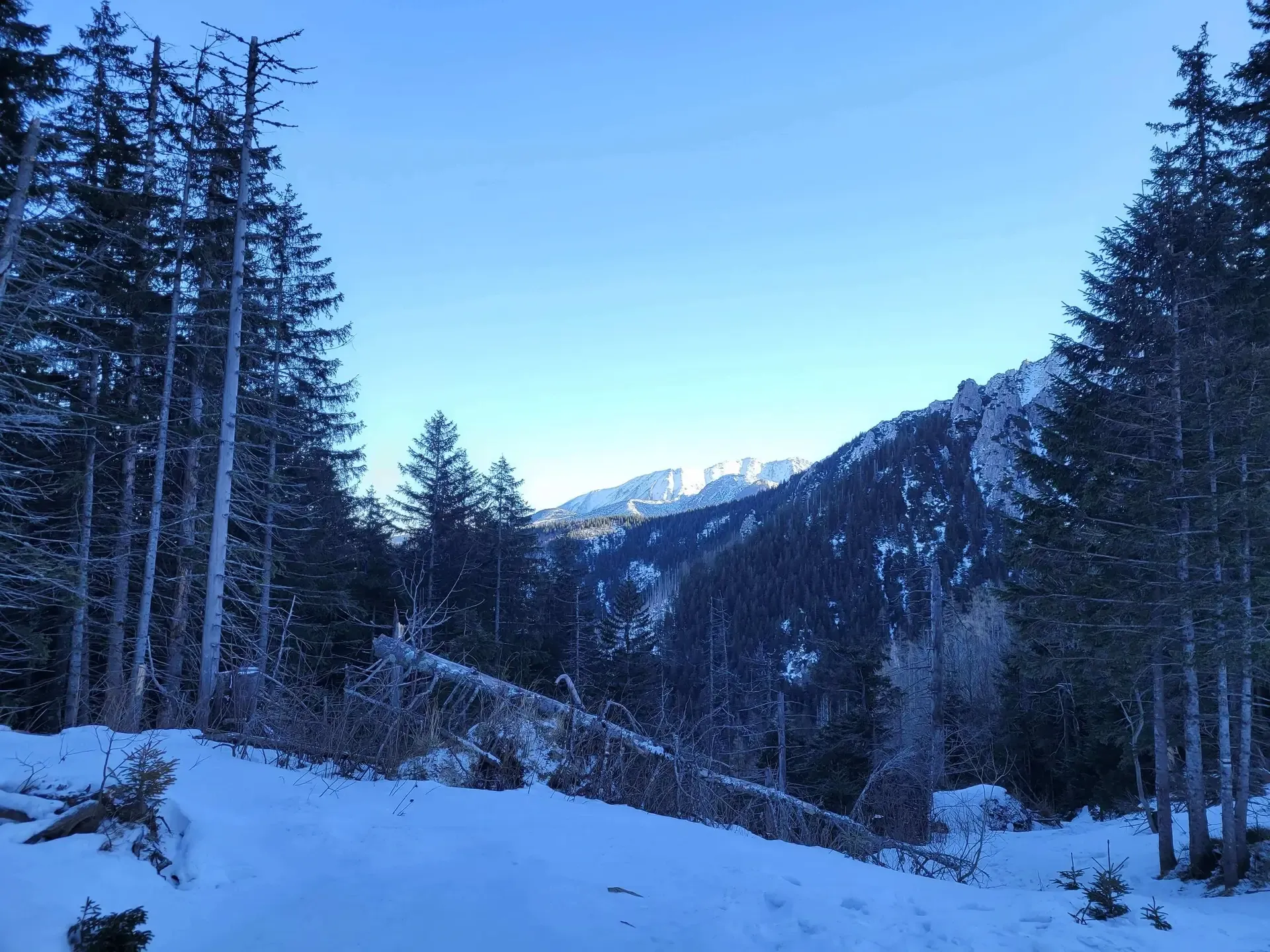 Zdjęcie z trasy Sarnia Skała