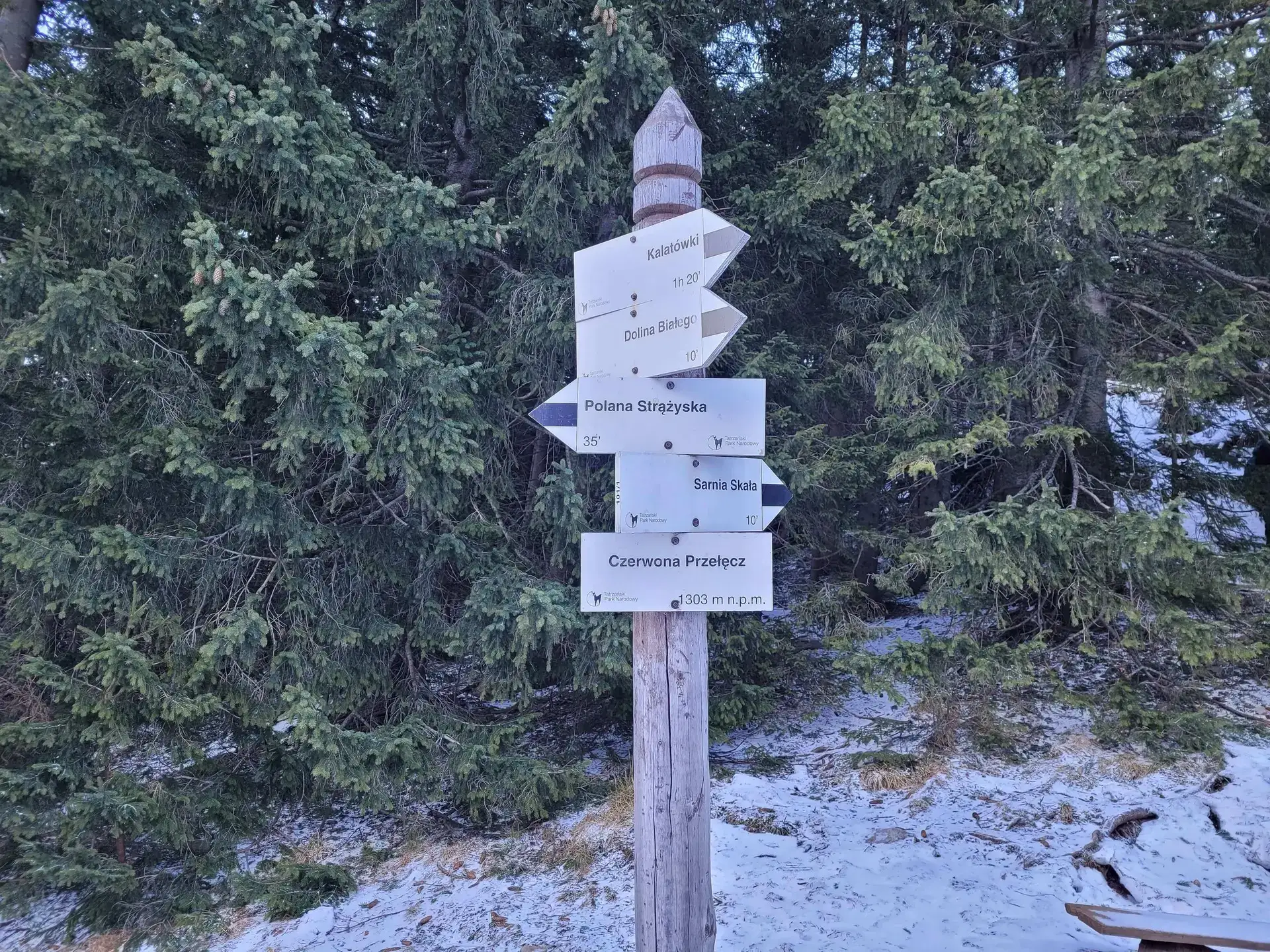 Grudzien 2023 – Photo from trail Sarnia Skała, photo 31