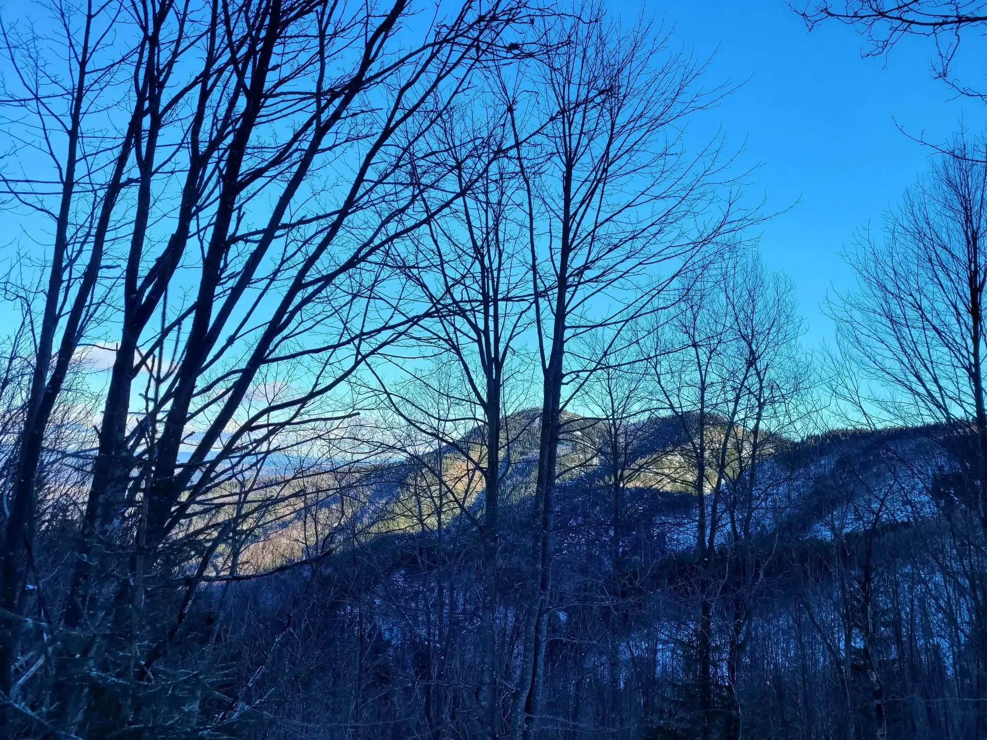 Zdjęcie z trasy Sarnia Skała