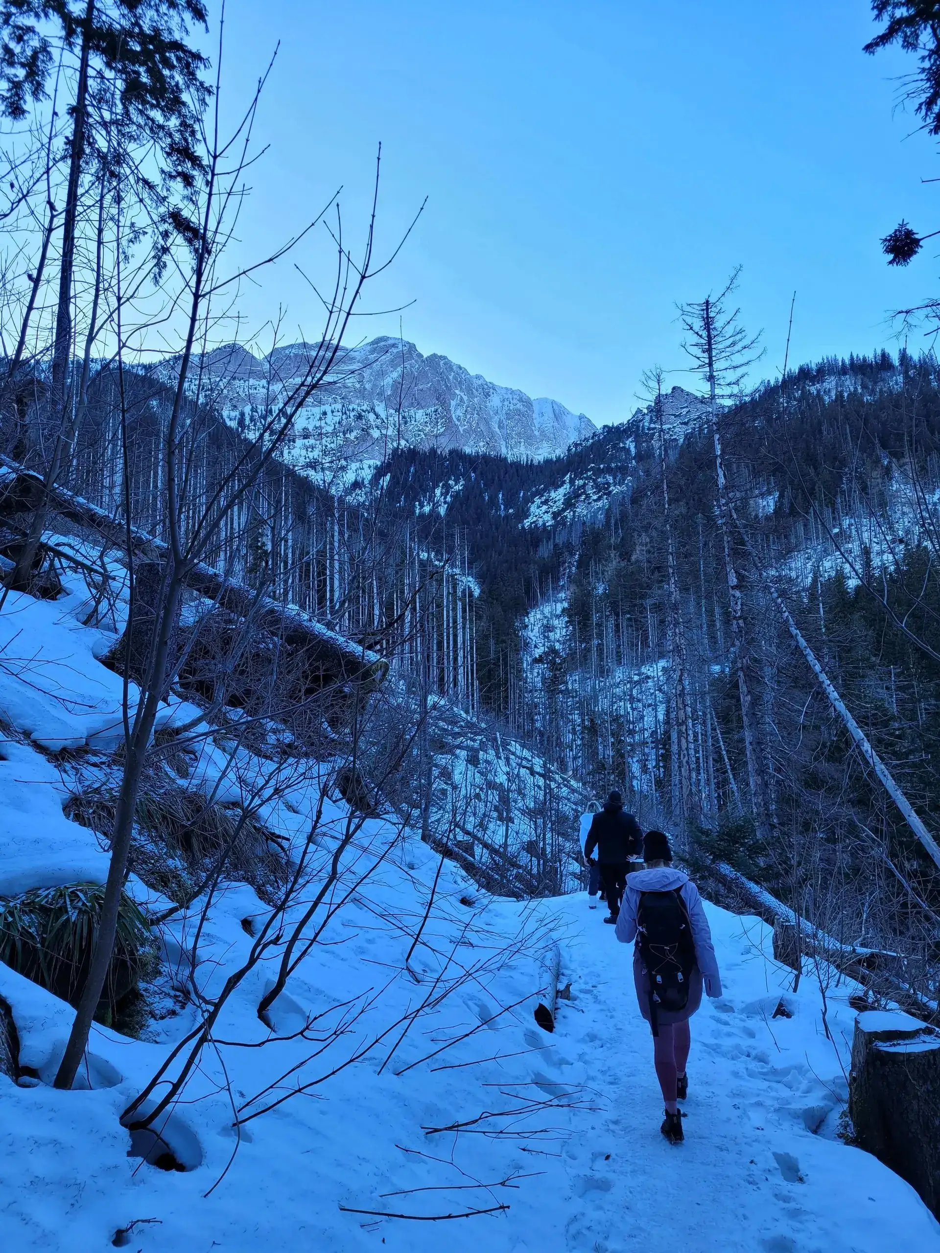 Grudzien 2023 – Photo from trail Sarnia Skała, photo 24