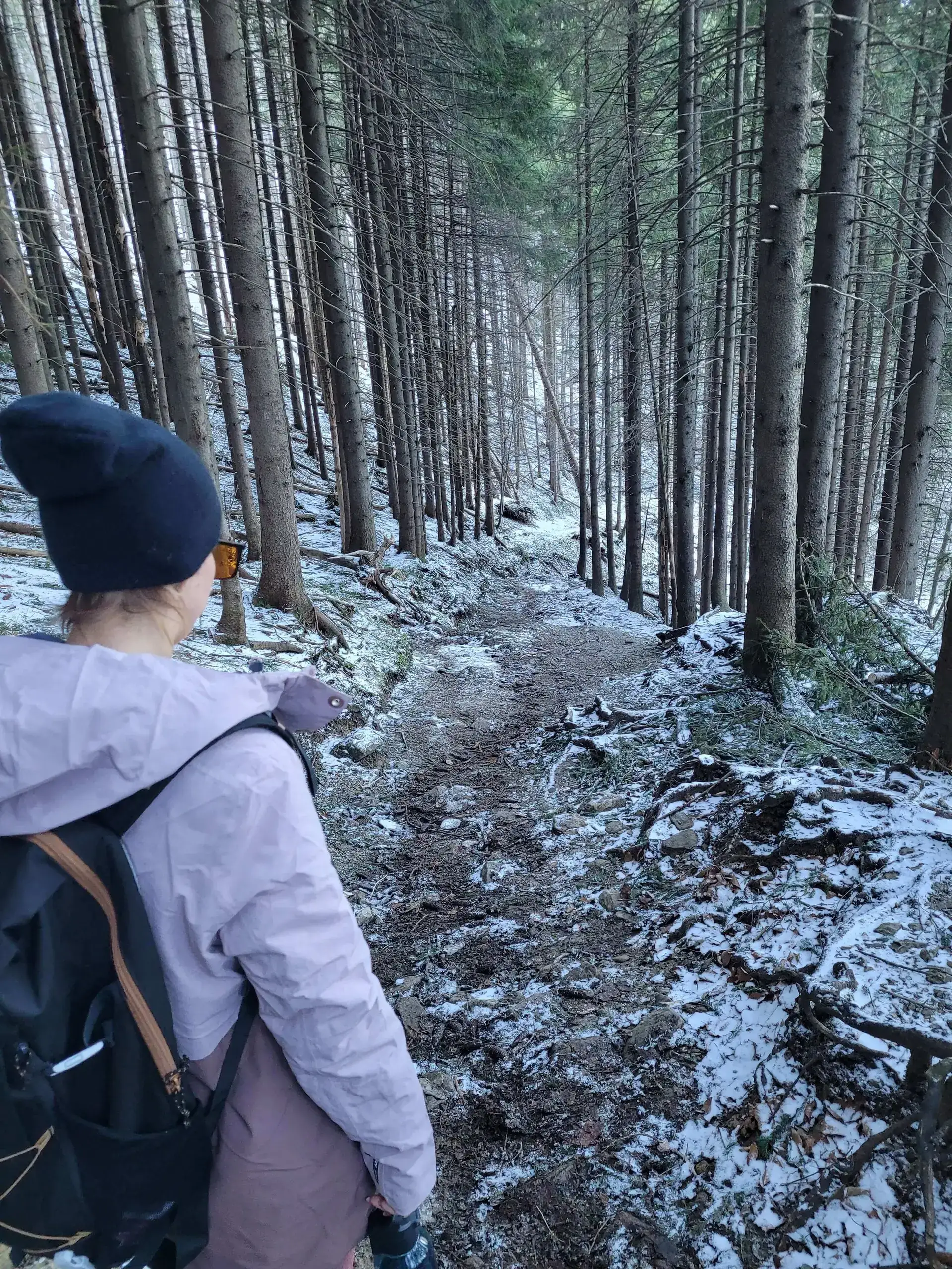 Grudzien 2023 – Photo from trail Sarnia Skała, photo 26