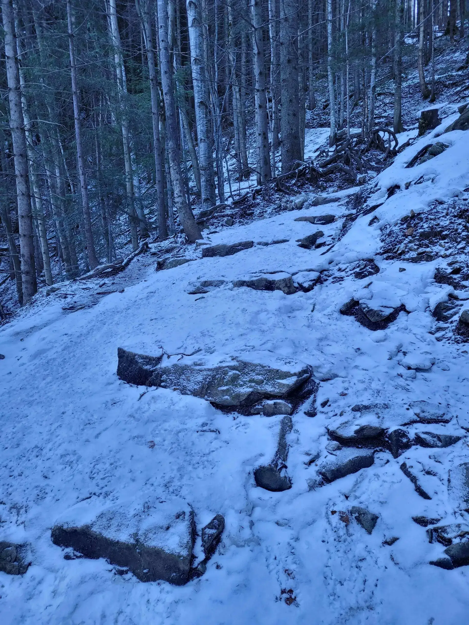 Grudzien 2023 – Photo from trail Sarnia Skała, photo 27