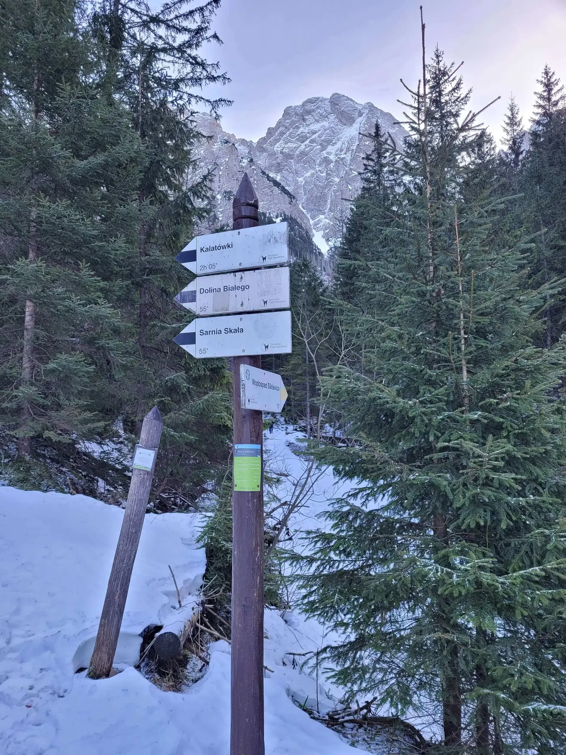 Grudzien 2023 – Photo from trail Sarnia Skała, photo 19