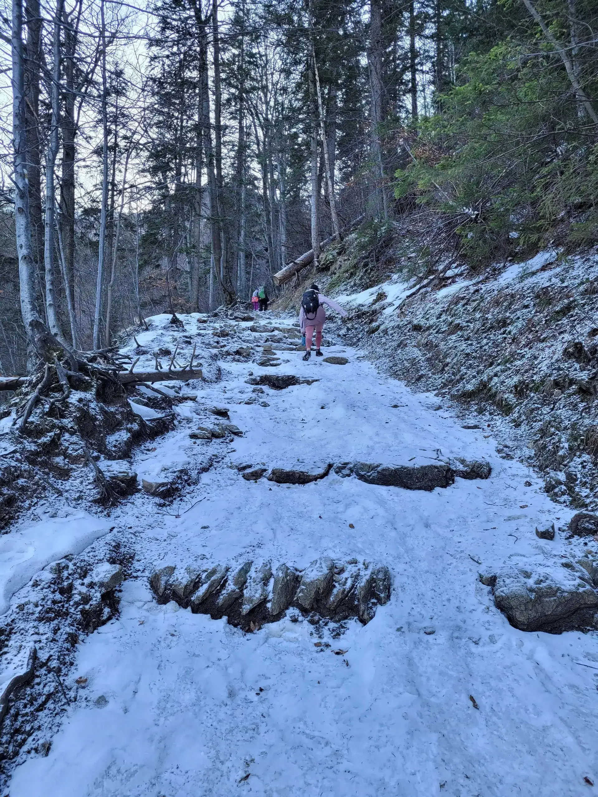 Grudzien 2023 – Photo from trail Sarnia Skała, photo 3