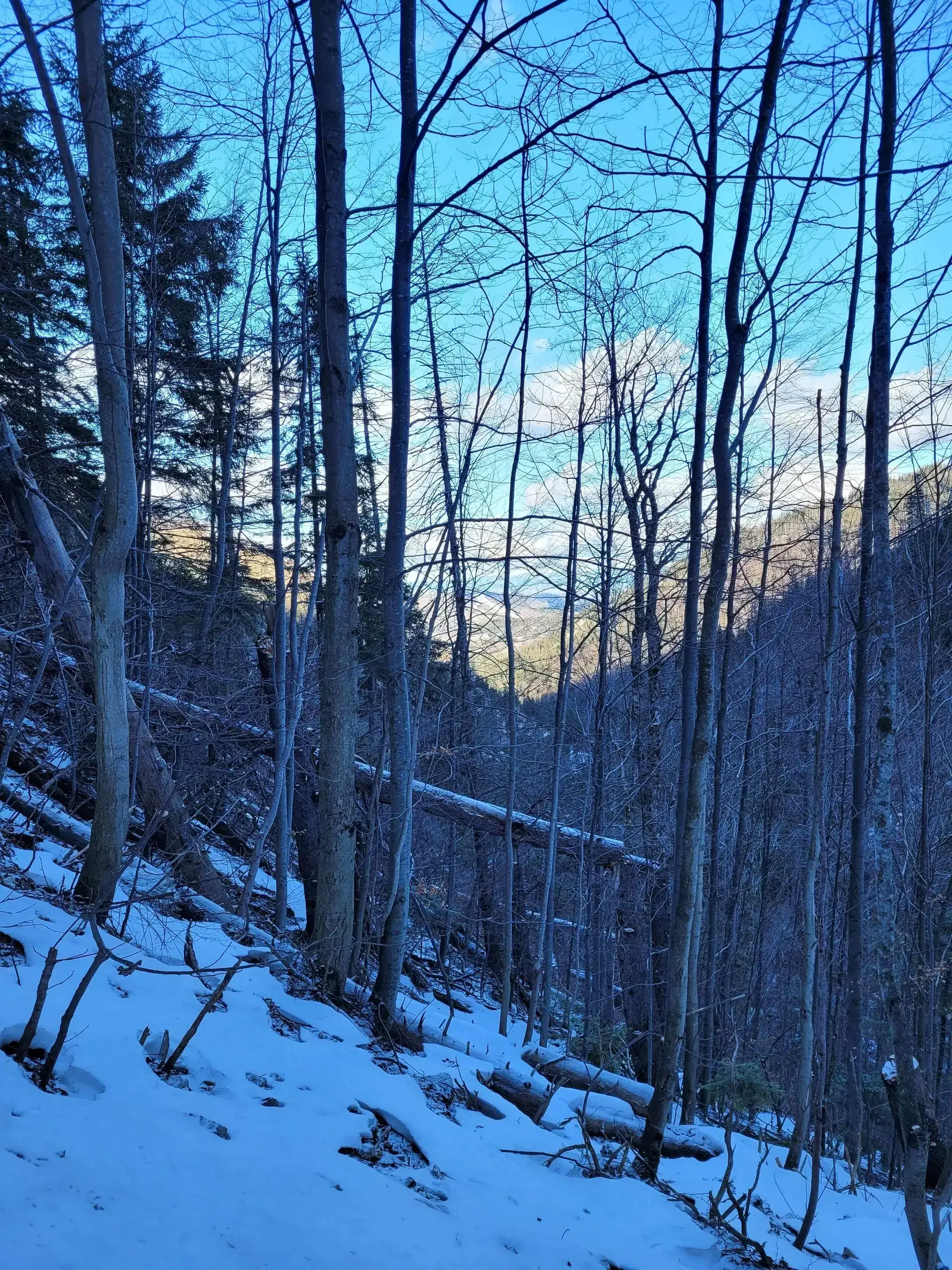 Grudzien 2023 – Photo from trail Sarnia Skała, photo 17