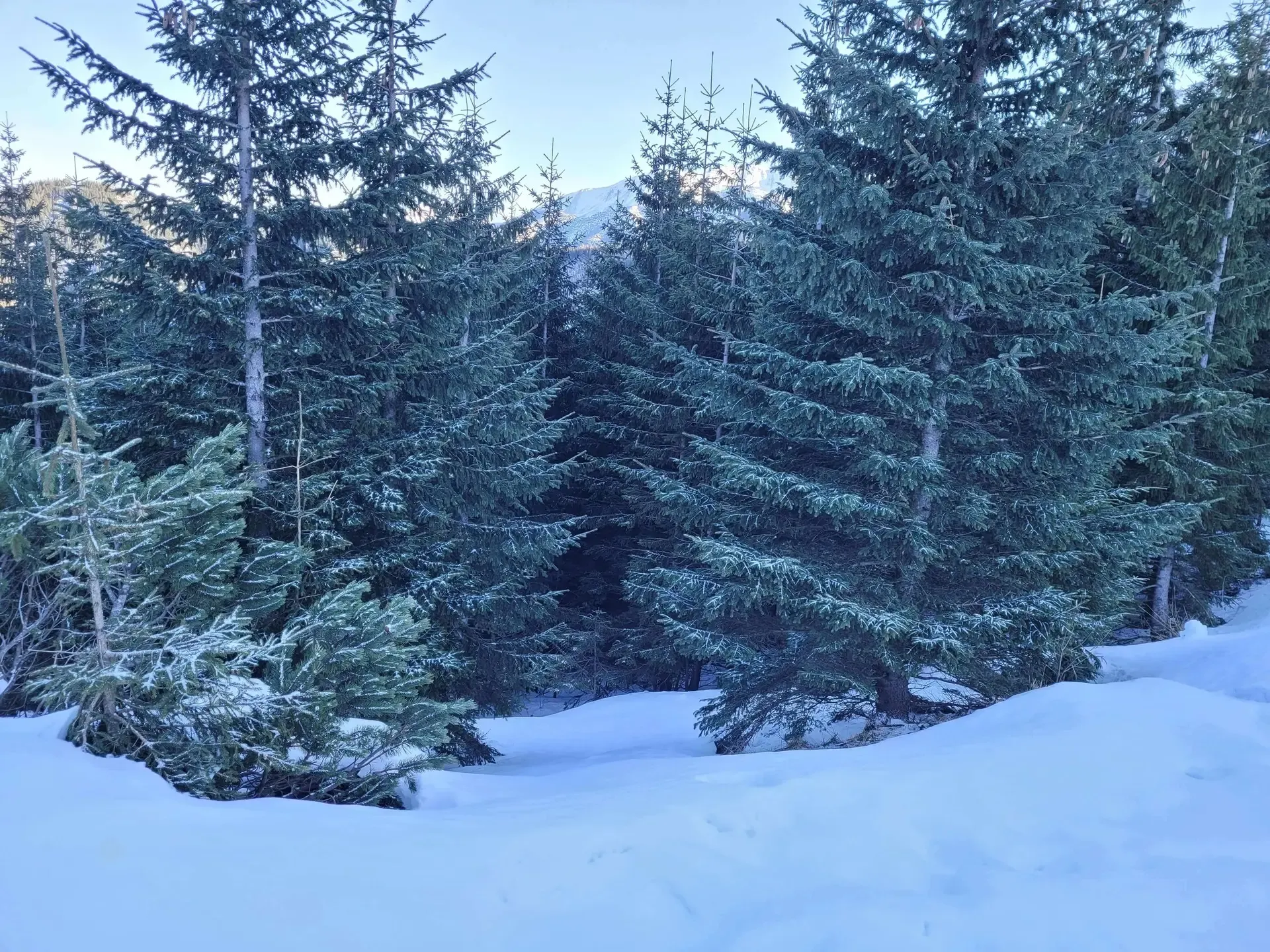 Zdjęcie z trasy Sarnia Skała