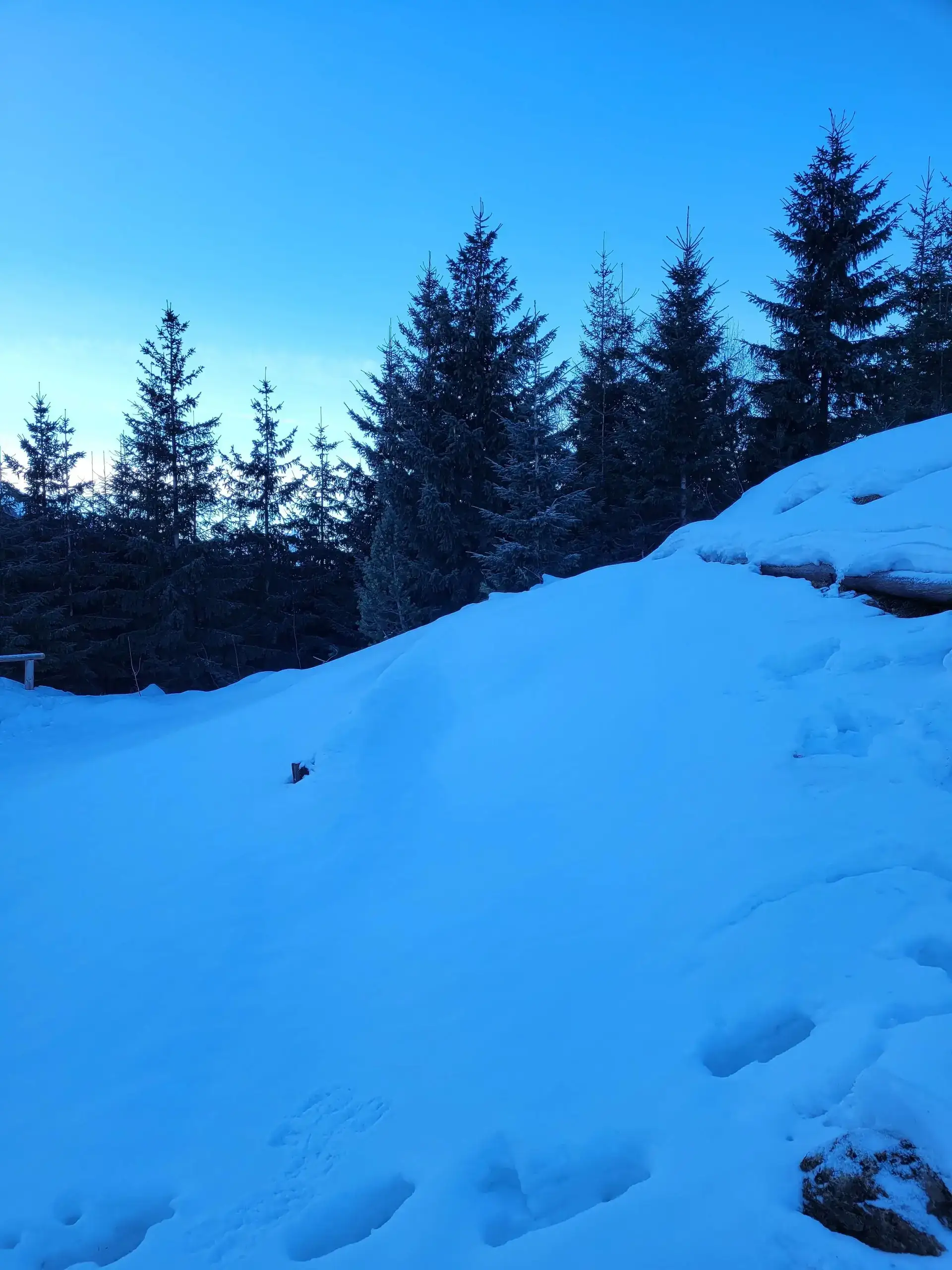 Grudzien 2023 – Photo from trail Sarnia Skała, photo 9