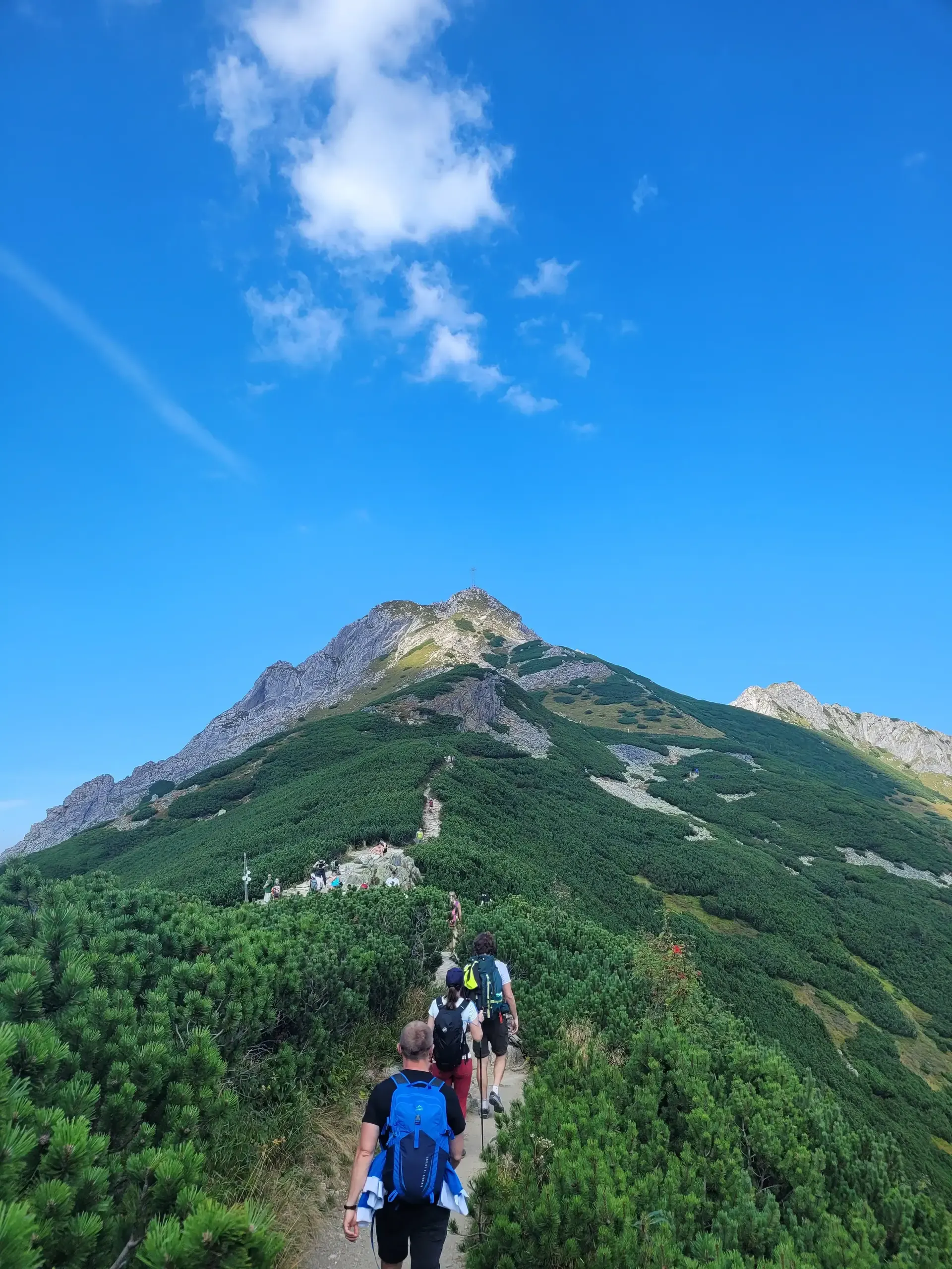 Kasprowy Wierch - Czerwone Wierchy (do Kopy Kondrackiej) - Giewont