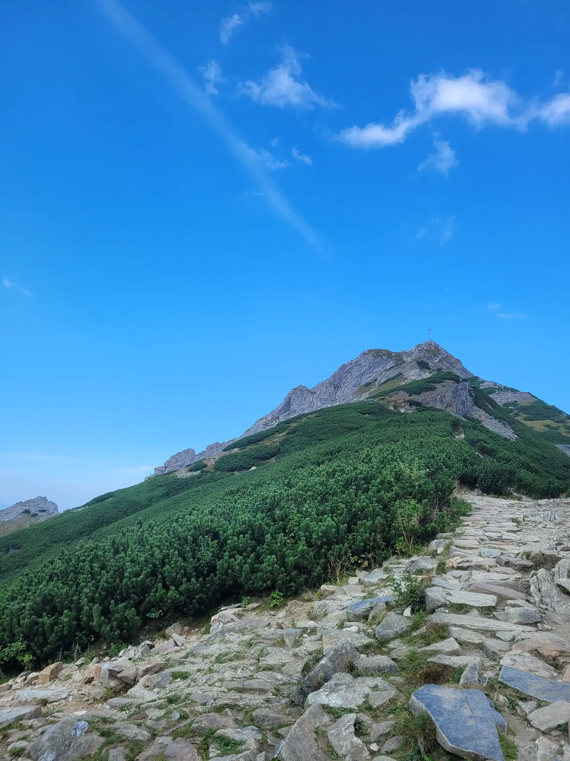 Kasprowy Wierch - Czerwone Wierchy (do Kopy Kondrackiej) - Giewont