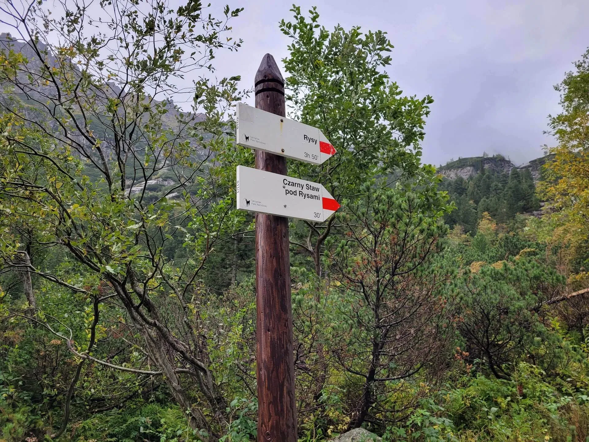 Morskie Oko - Czarny staw pod Rysami