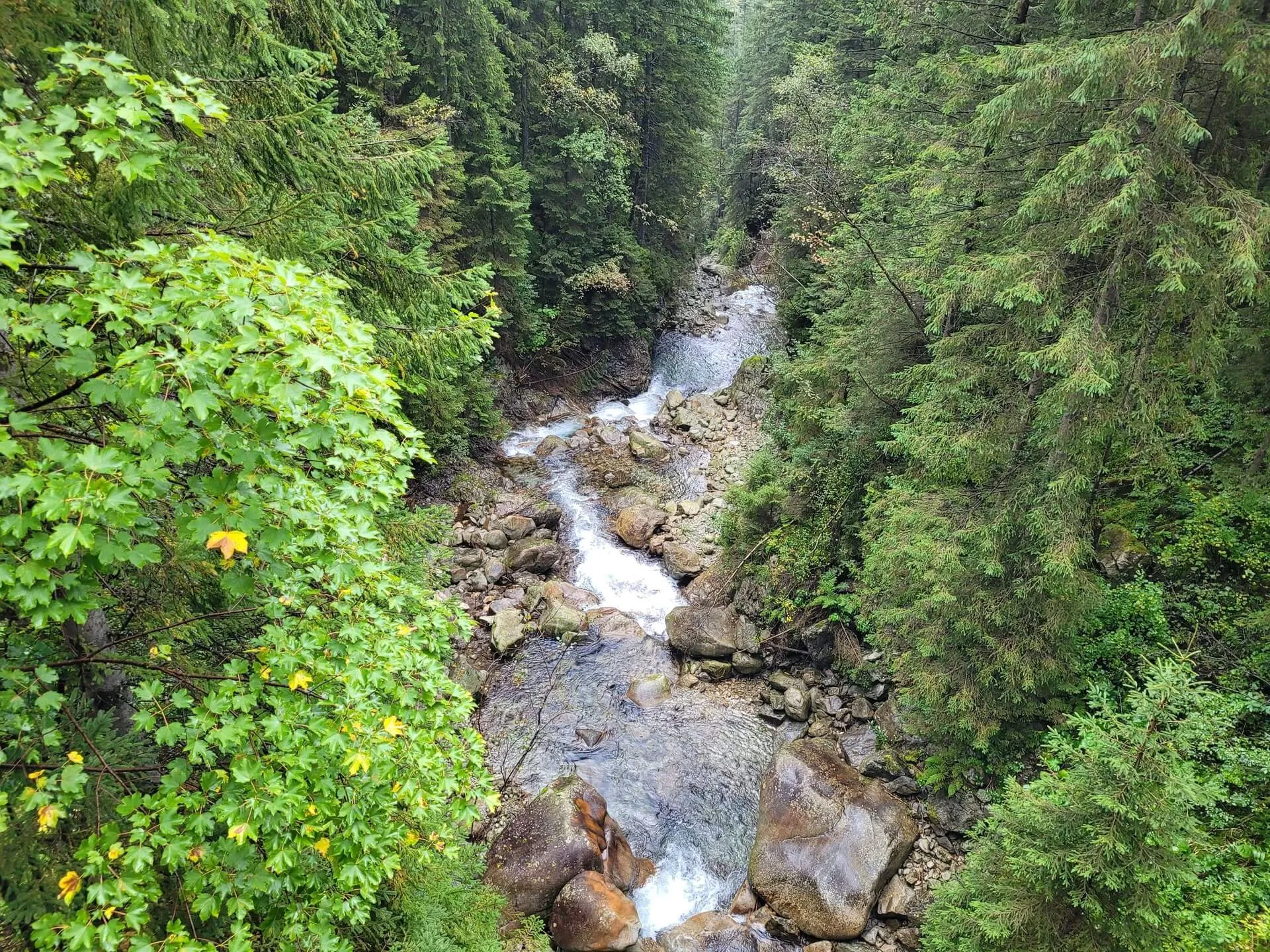 Morskie Oko - Czarny staw pod Rysami