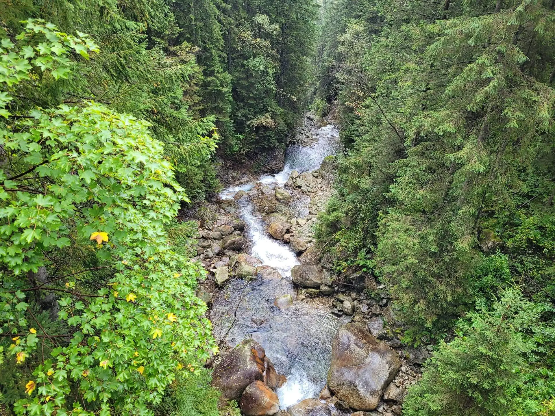 Morskie oko czarny staw pod rysami 2023 – Photo from trail Czarny Staw pod Rysami, photo 15