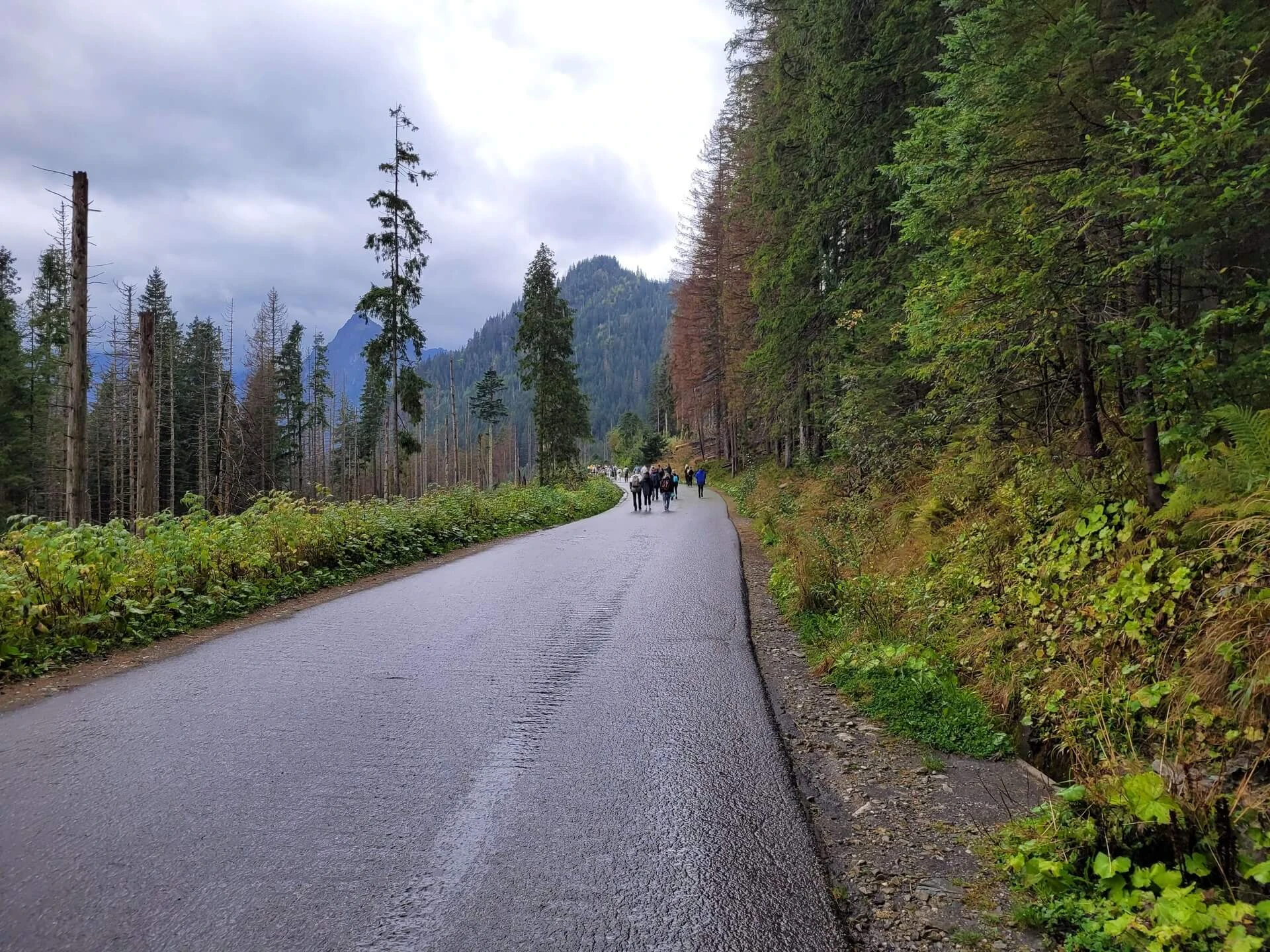 Morskie Oko - Czarny staw pod Rysami