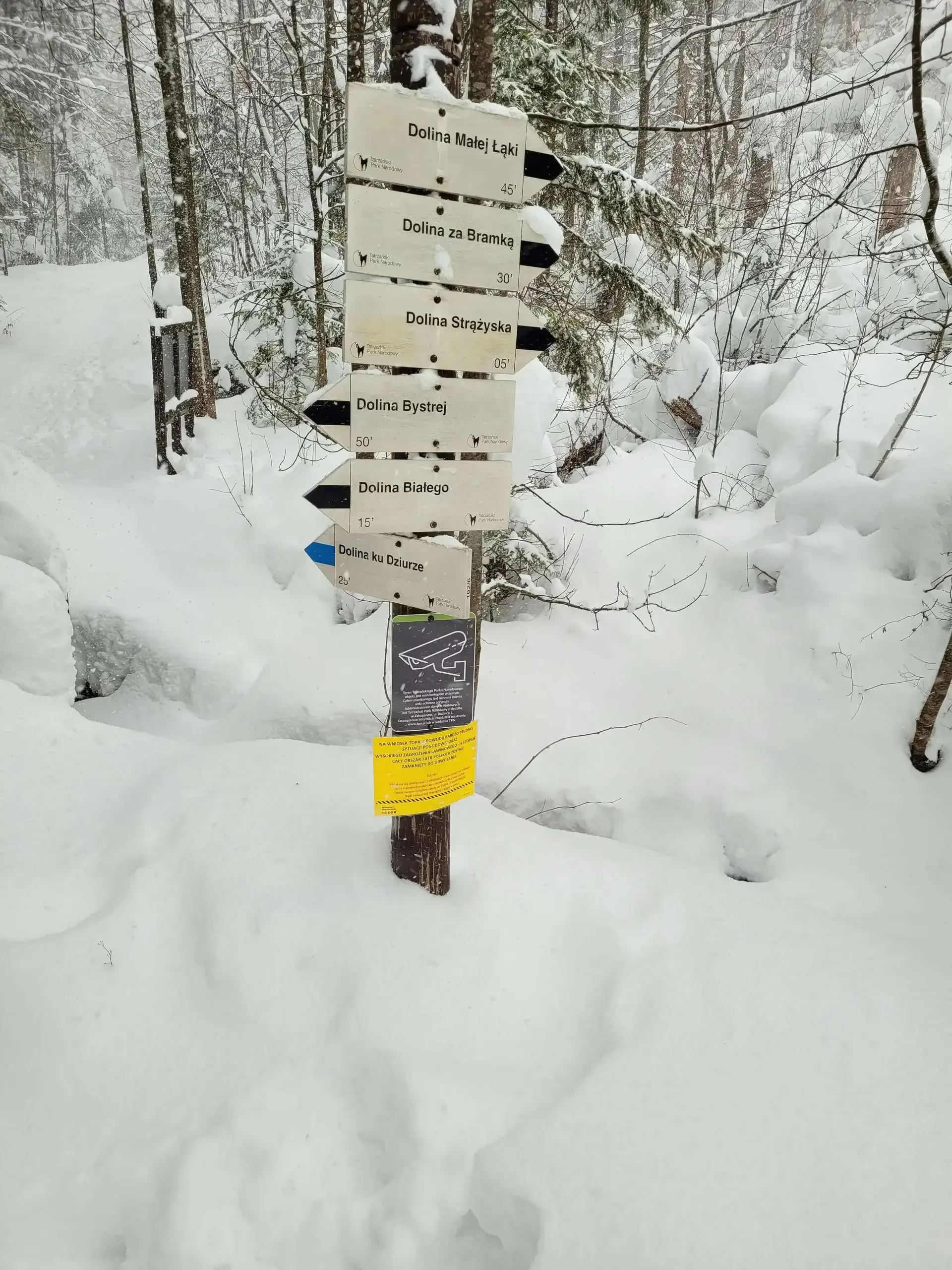 Pierwsza wizyta w Zakopanem