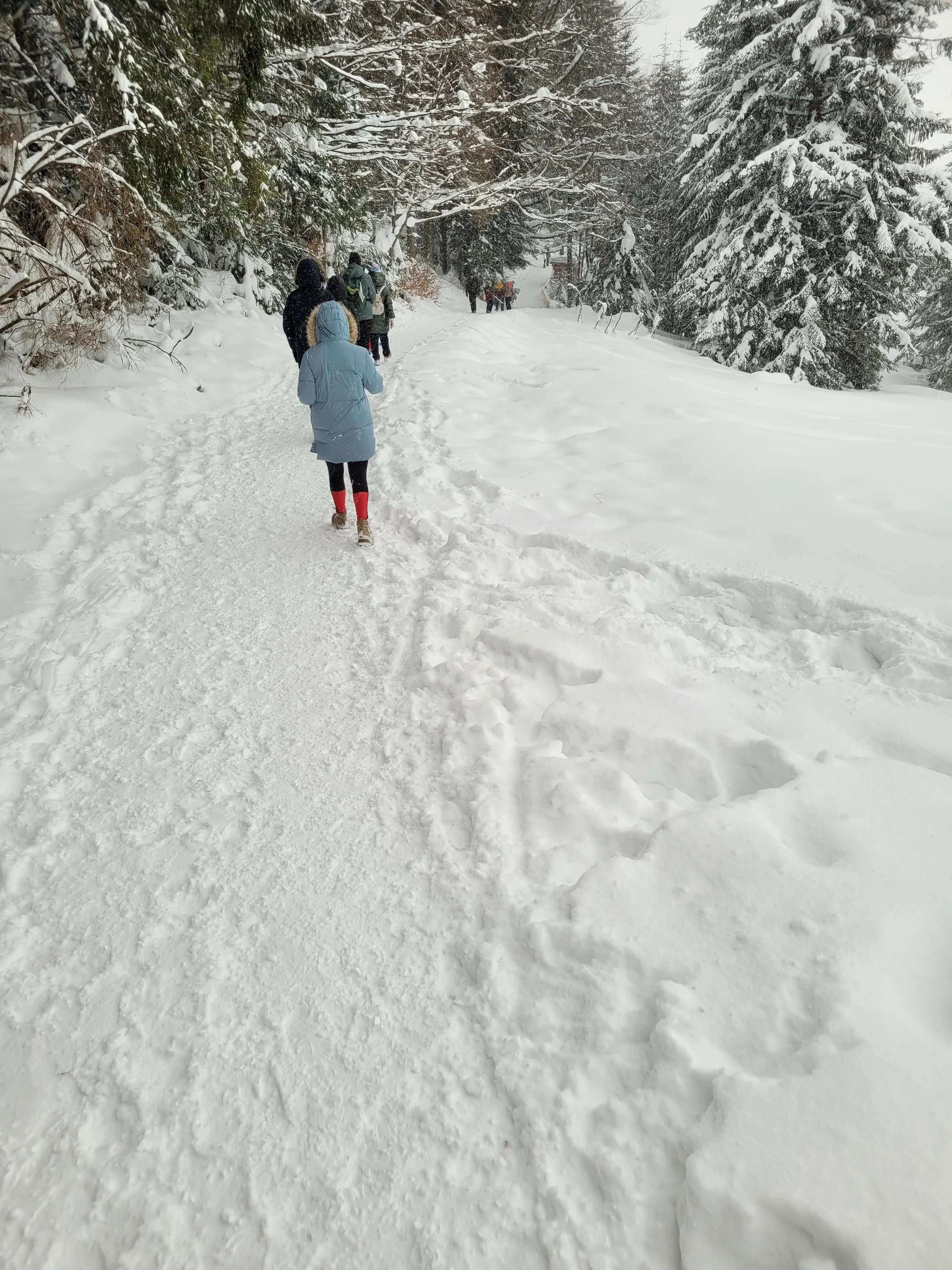 Pierwsza wizyta luty 2023 – First visit in Zakopane, photo 8