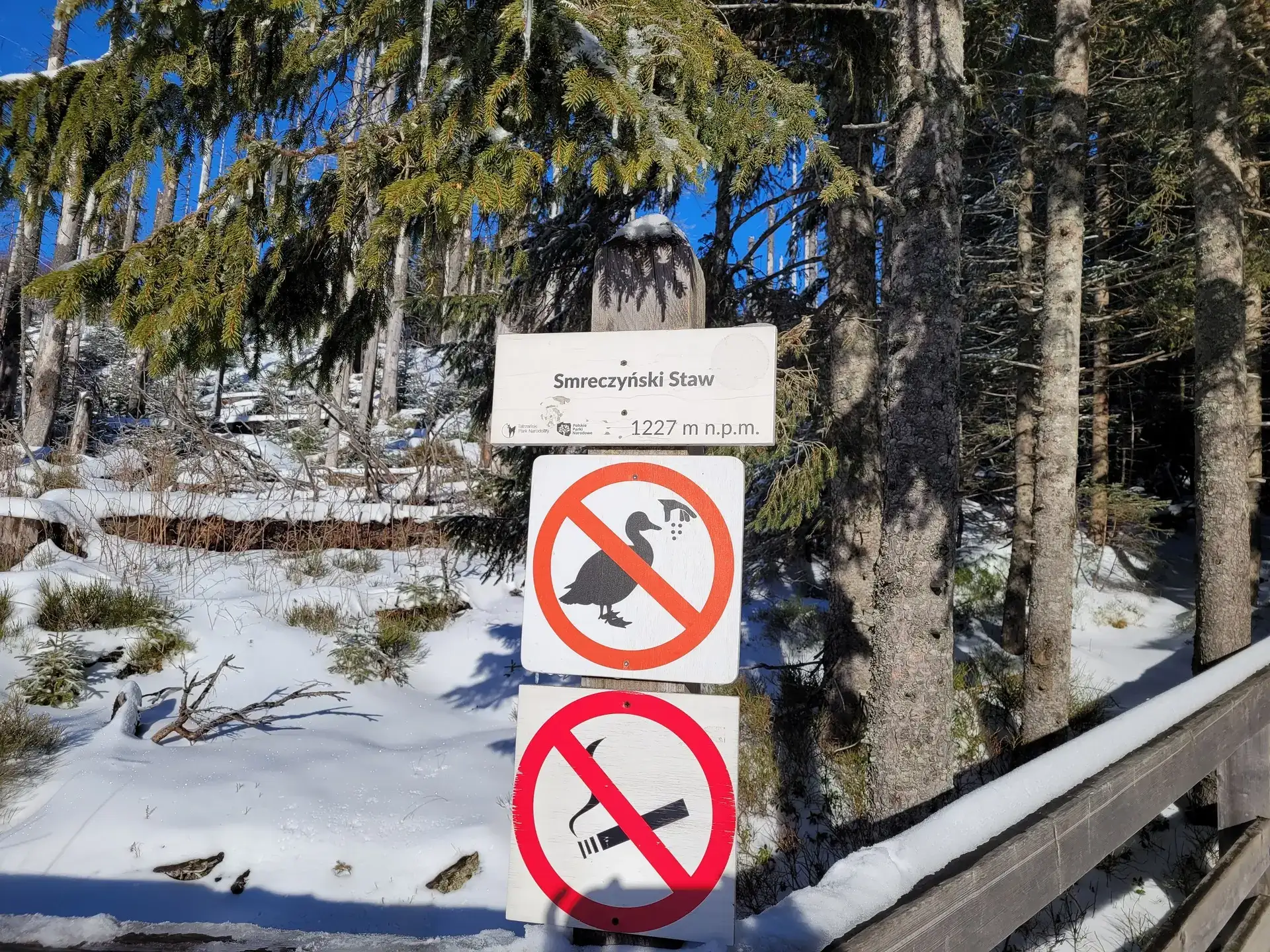 Smreczynski staw dolina kocieliska – Photo from trail Dolina Kościeliska (The Kościeliska Valley), photo 2