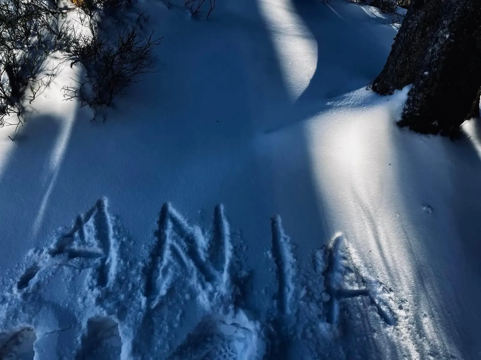 Zdjęcie z trasy Dolina Kościeliska