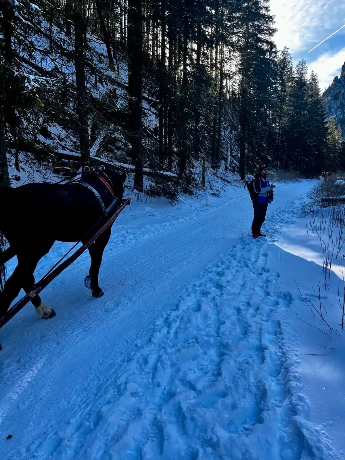 Smreczynski staw dolina kocieliska – Photo from trail Dolina Kościeliska (The Kościeliska Valley), photo 1