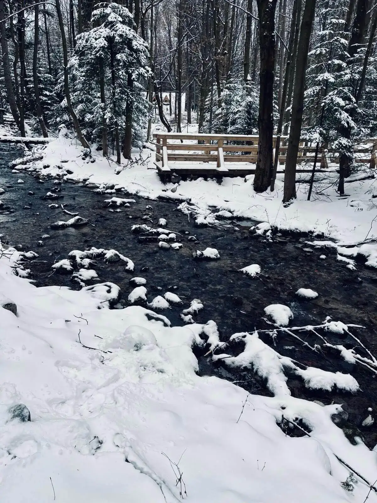 Smreczynski staw dolina kocieliska – Photo from trail Dolina Kościeliska (The Kościeliska Valley), photo 8