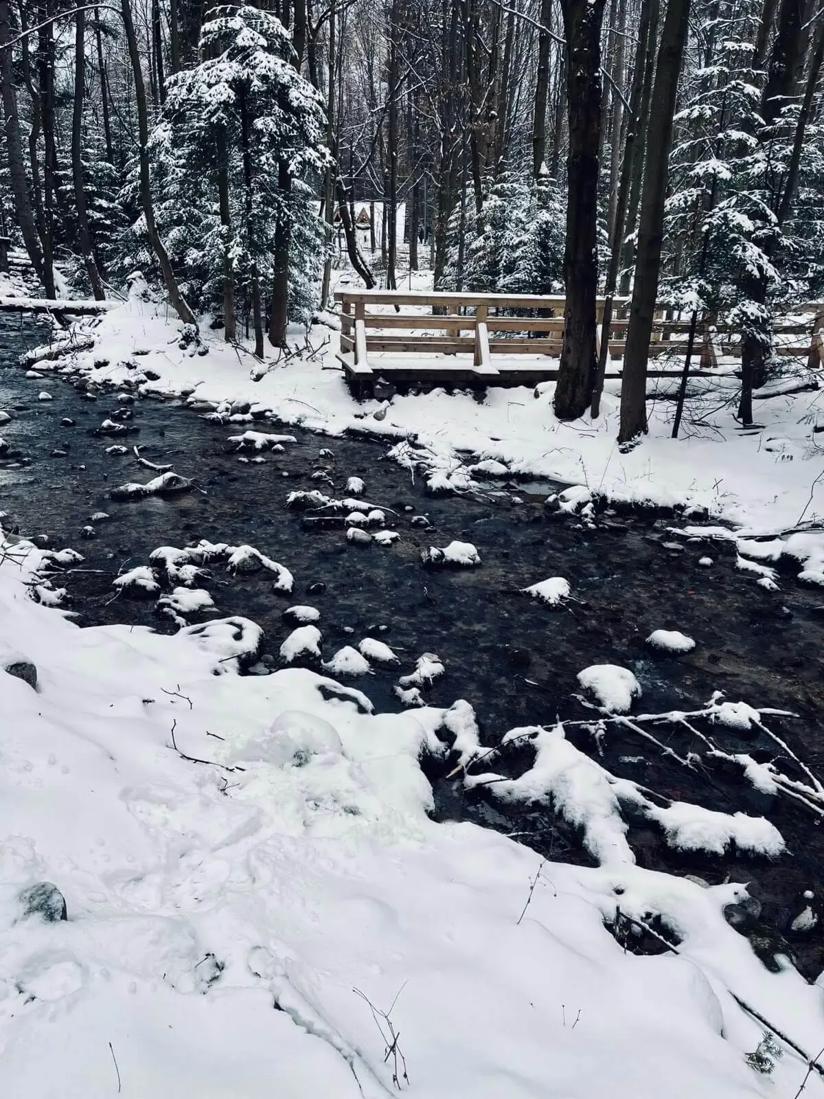 Zdjęcie z trasy Dolina Kościeliska