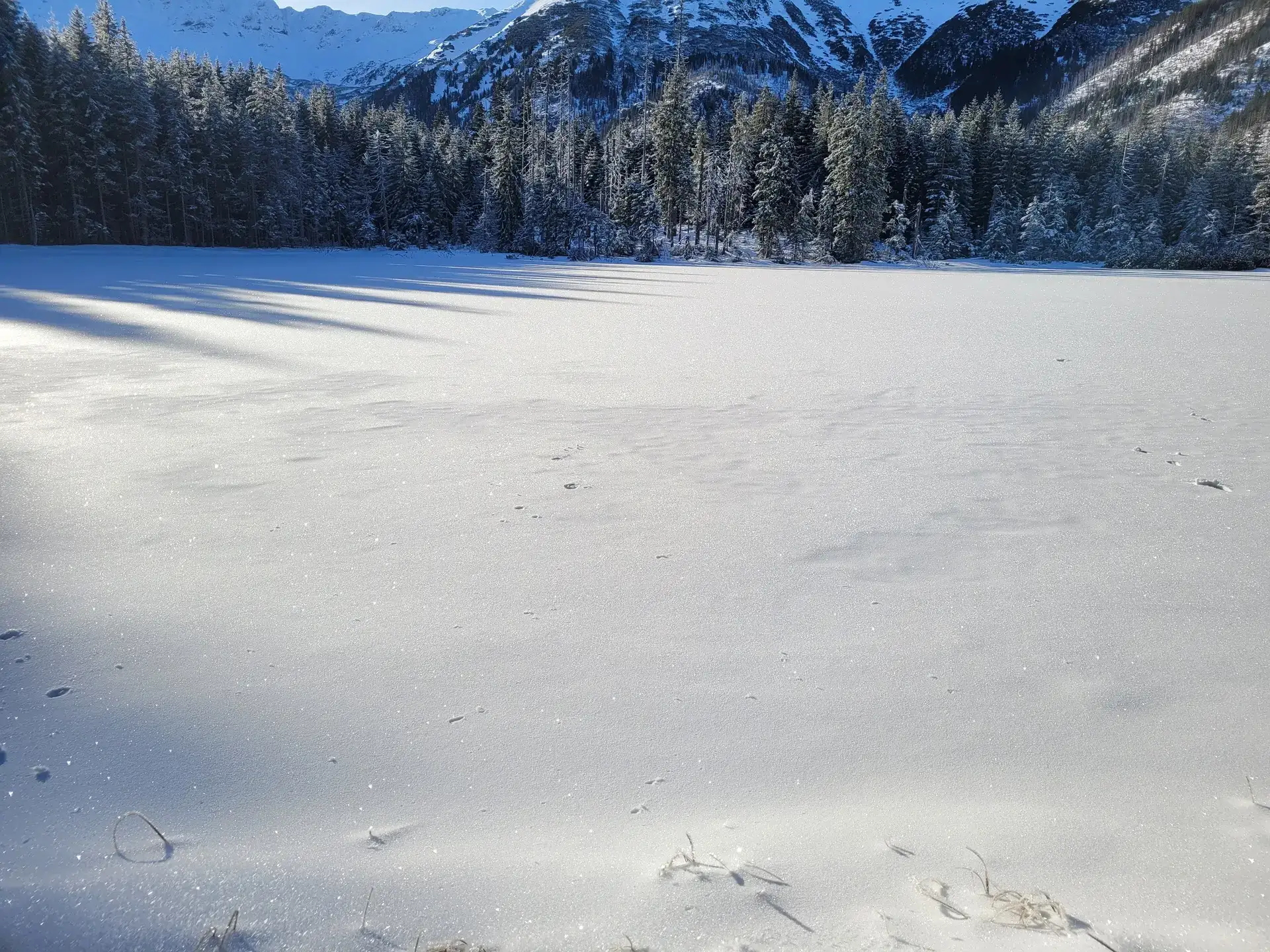 Smreczynski staw dolina kocieliska – Photo from trail Dolina Kościeliska (The Kościeliska Valley), photo 3